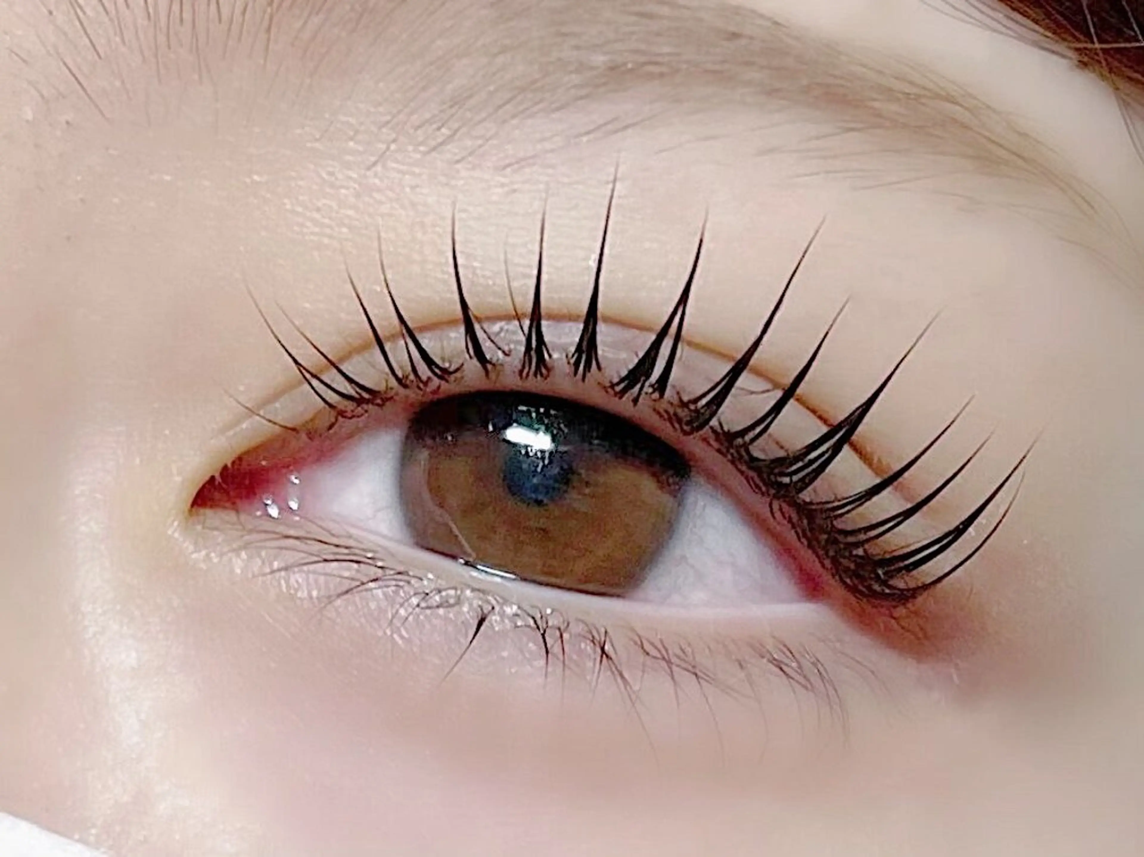 パリジェンヌラッシュリフト【¥3,400】の写真