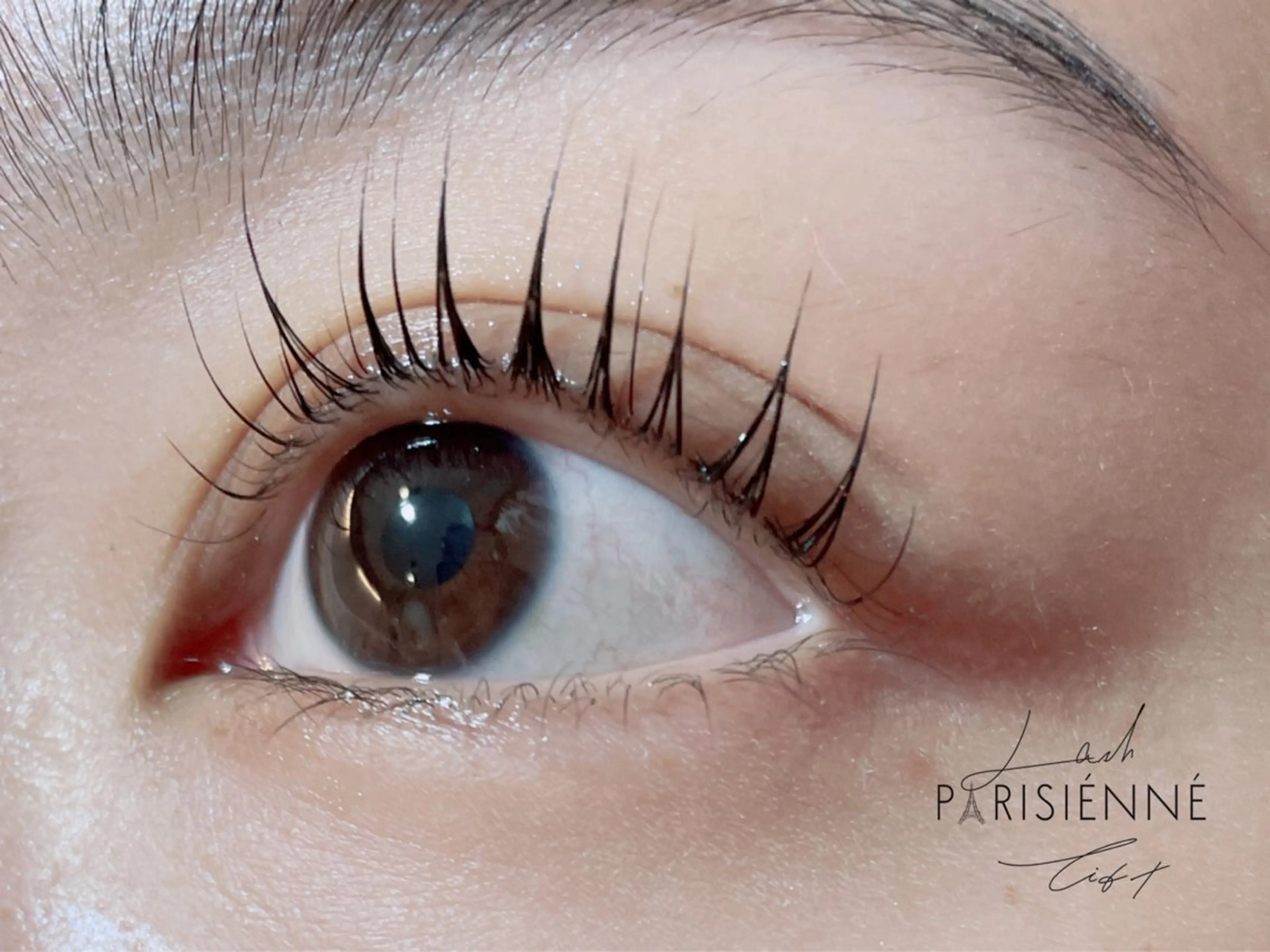 1度で完結💓((ミニモ限定))セット割（パリジェンヌラッシュリフト✖︎フェイシャル)の写真