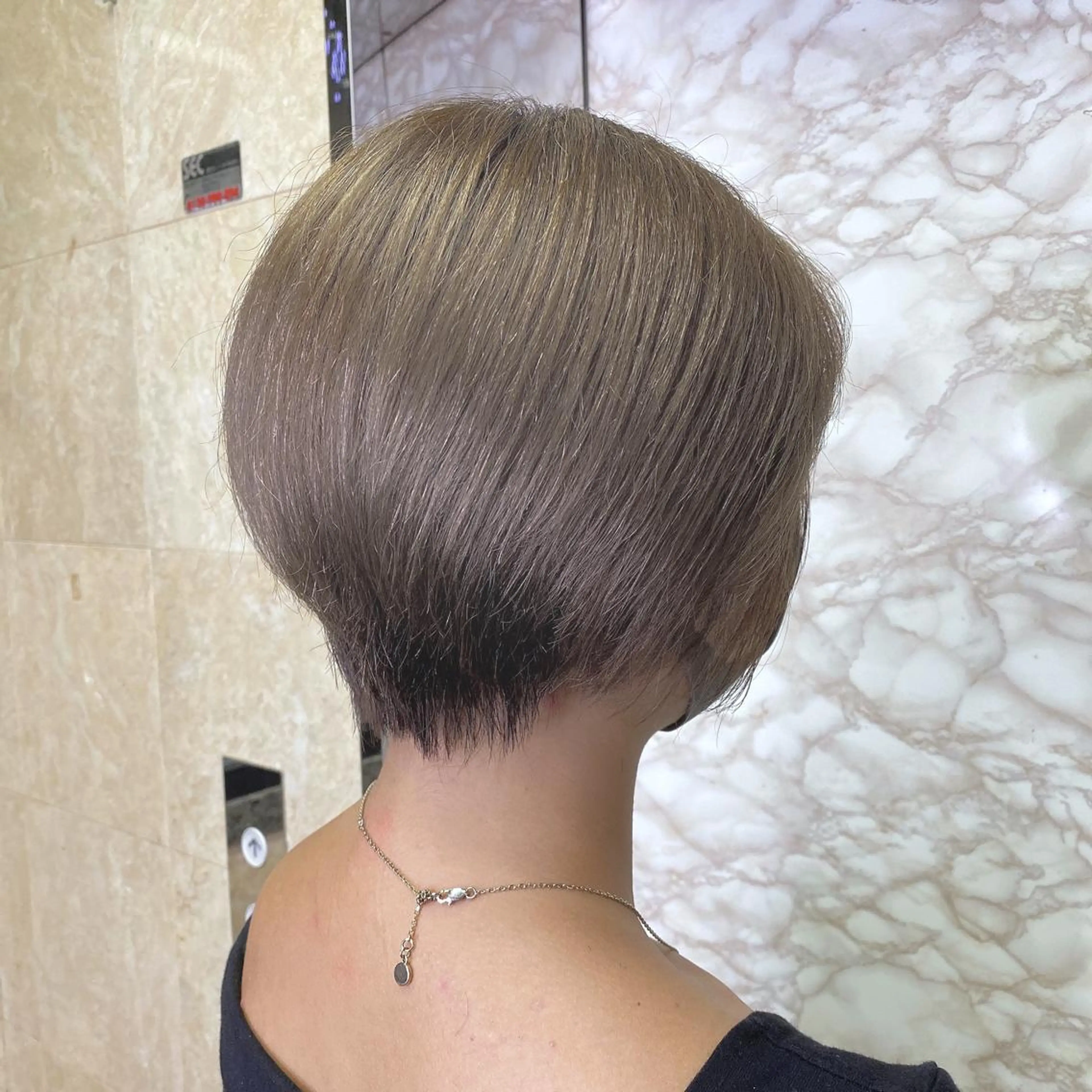 ショート カラー 丸みショート ショートヘア カット ヘアカラー Steelo  渋谷所属・✴︎赤み除去カラー daichi✴︎のヘアスタイル