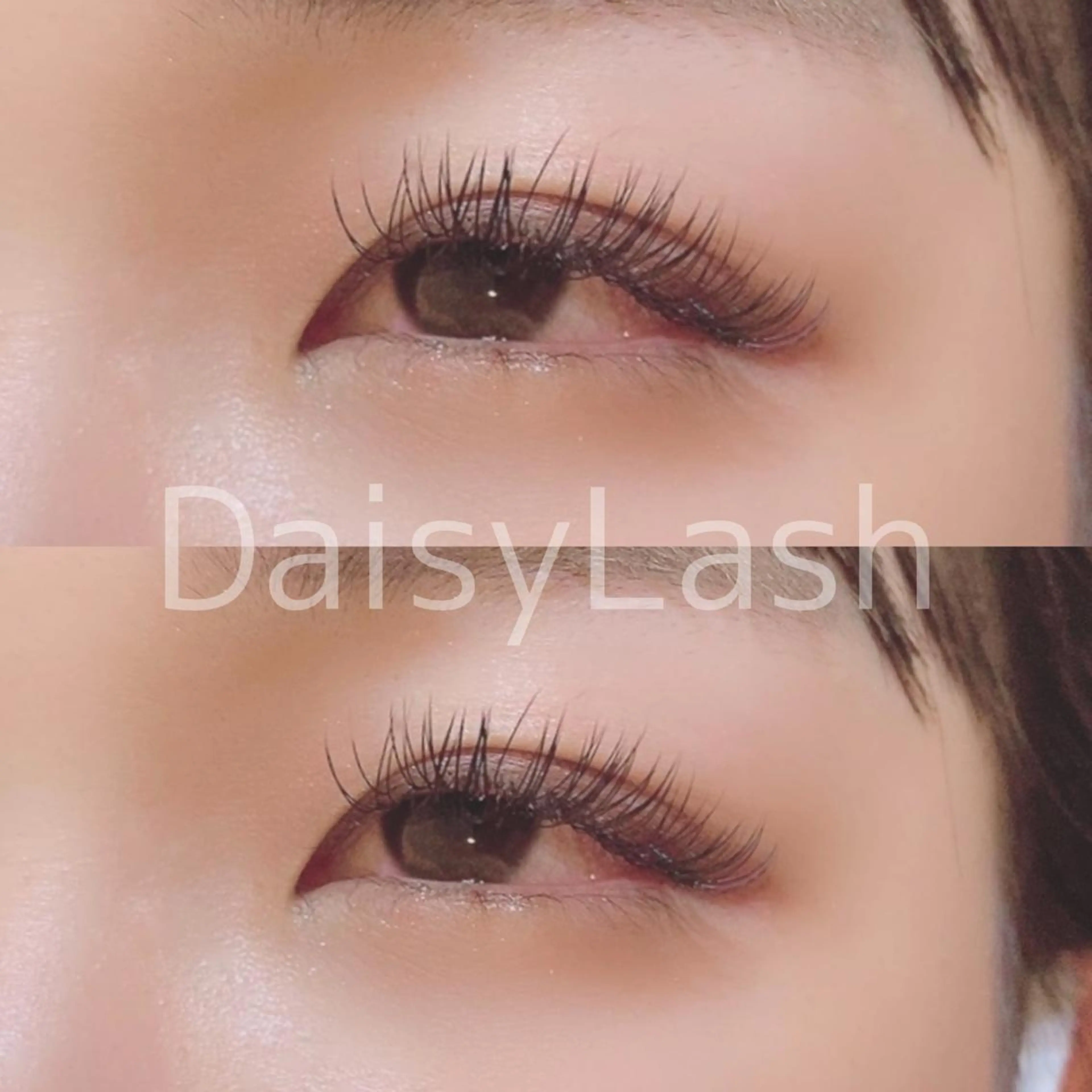 マツエク・マツパ DaisyLash 京橋店のマツエク・マツパデザイン