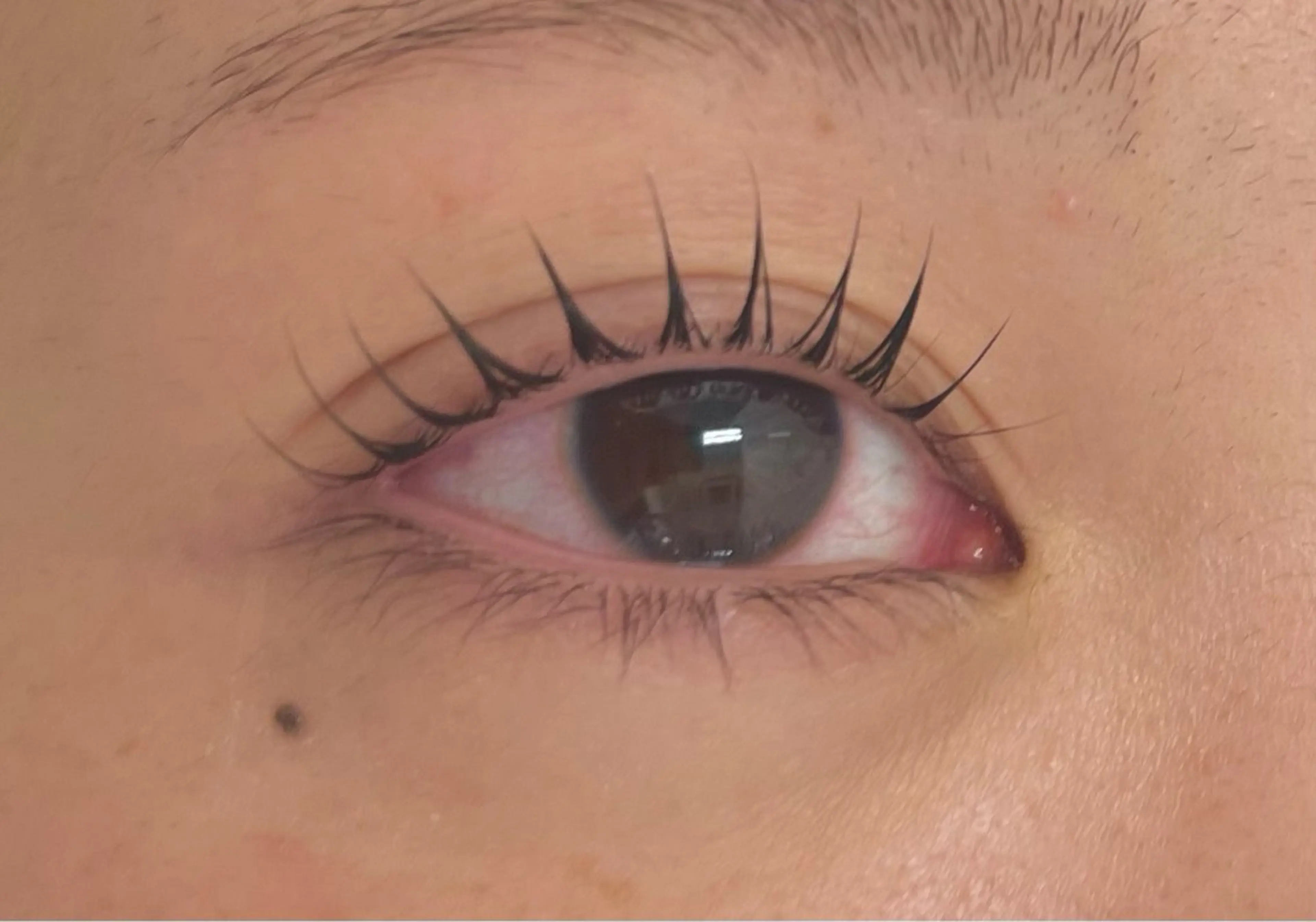 マツエク・マツパ マツパ ⭐️alice tokyo秋田⭐️のマツエク・マツパデザイン