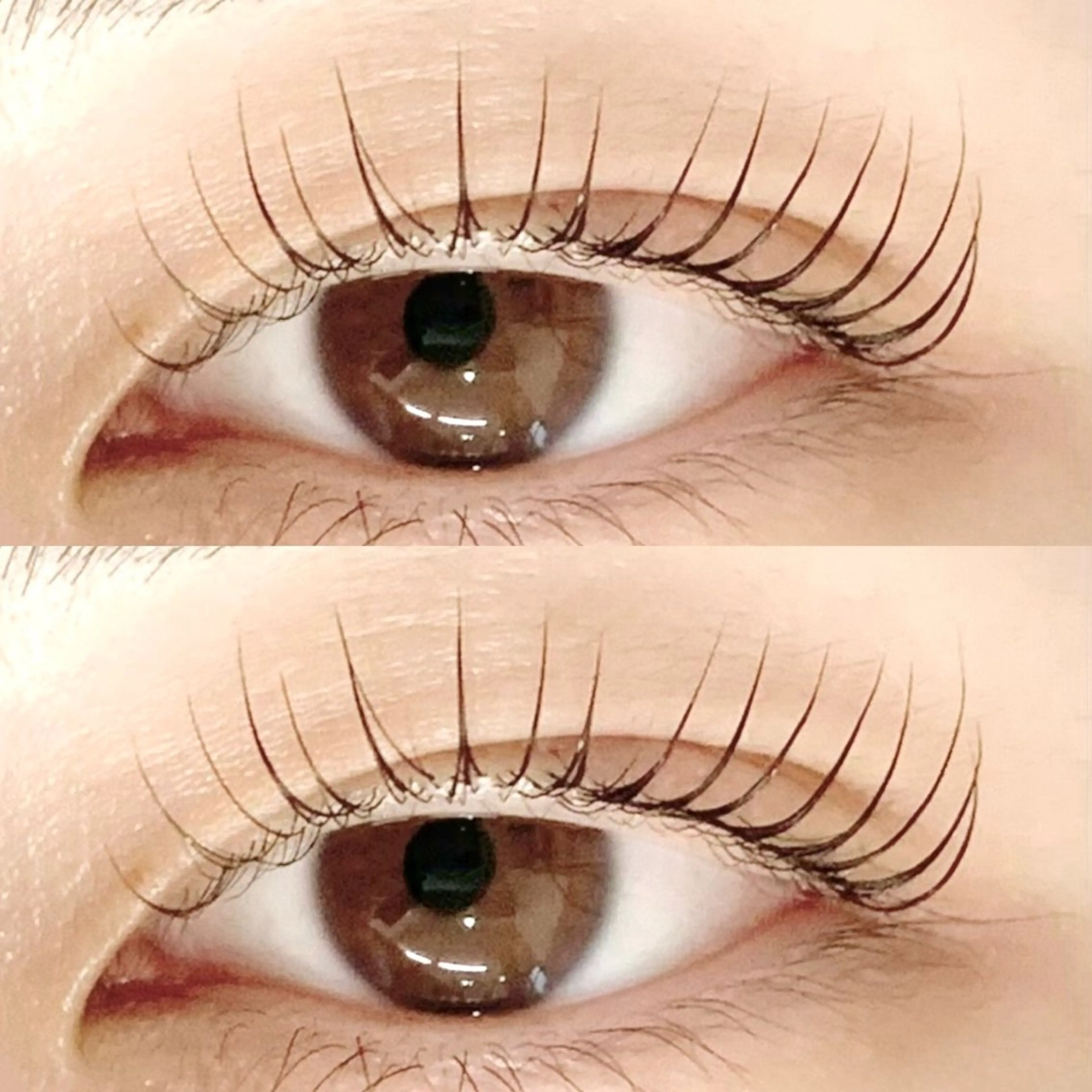 マツエク・マツパ M🐰 上本町/谷九のマツエク・マツパデザイン