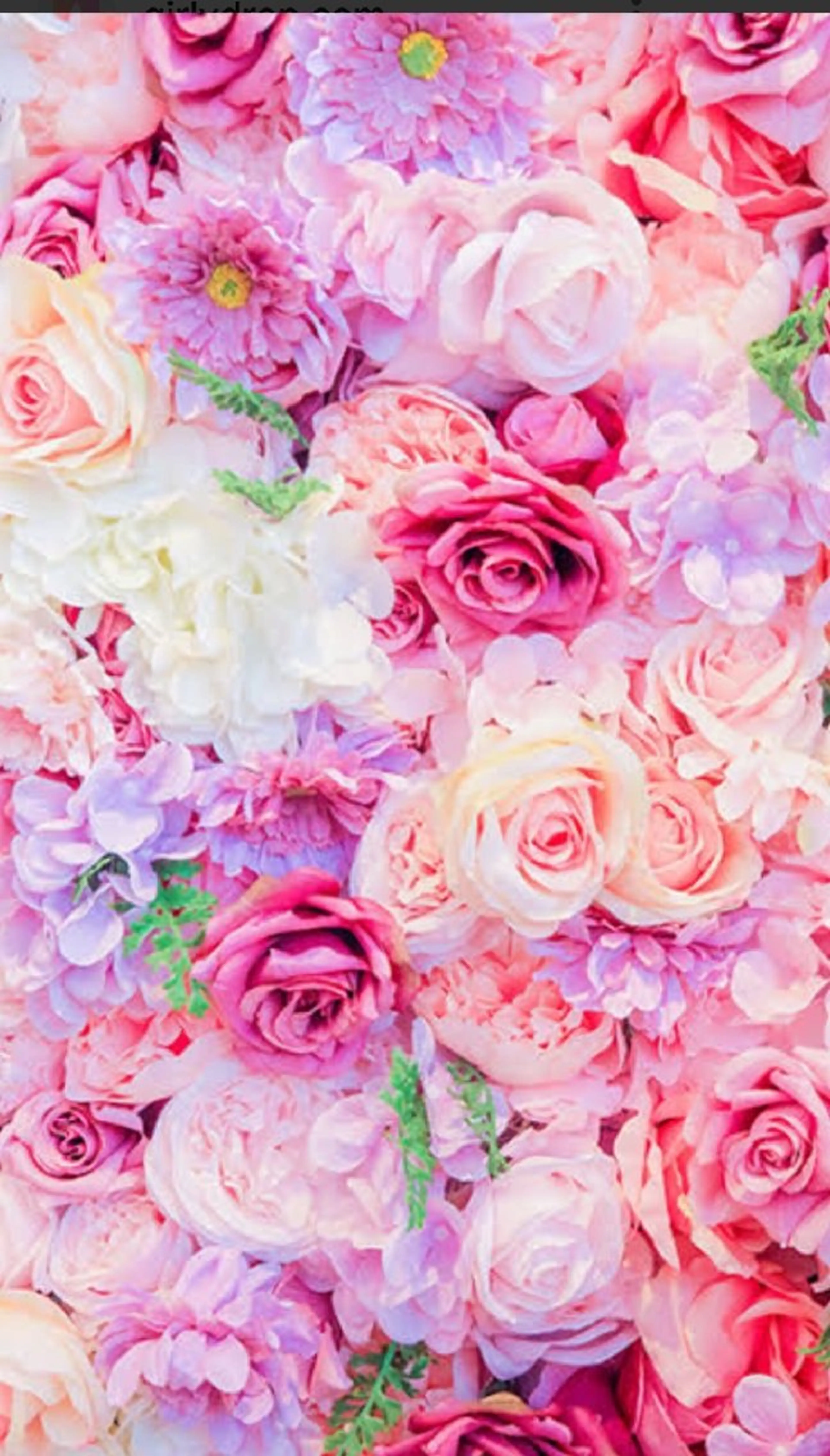 よもぎ蒸＆オイルケア aroma＆woodのエステ・リラクイメージ