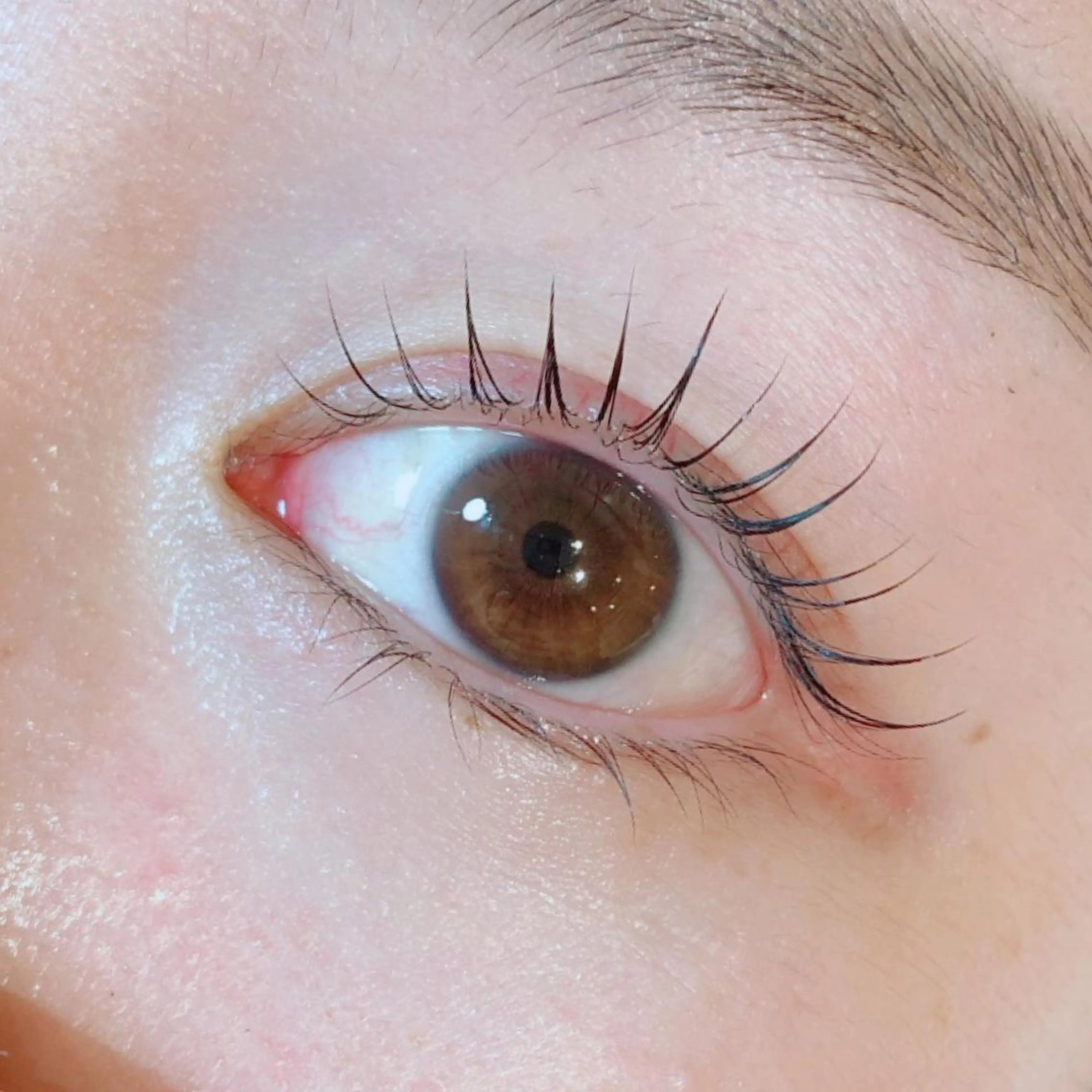 マツエク・マツパ なかむら 🪡のマツエク・マツパデザイン