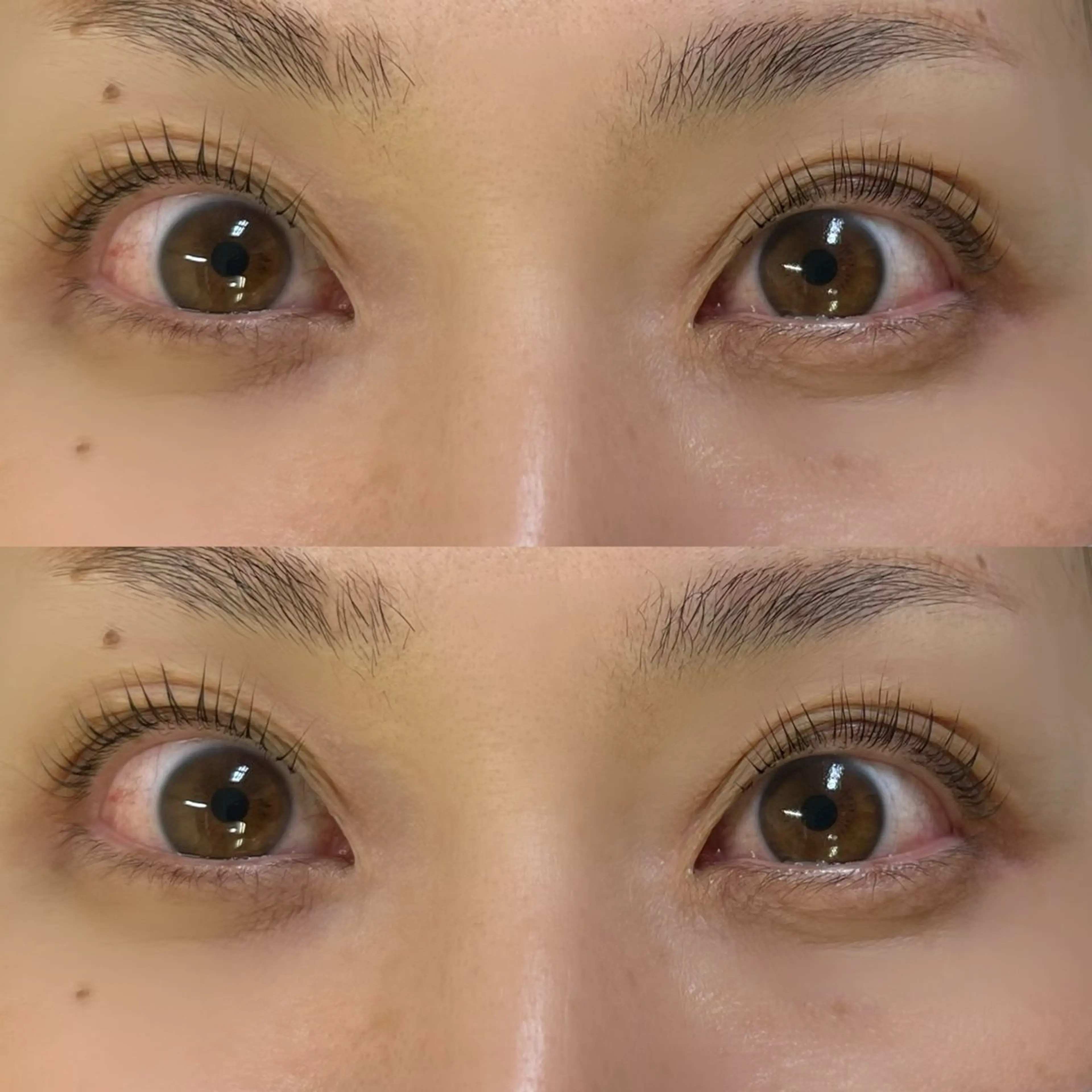 マツエク・マツパ パリジェンヌラッシュリフト MAQUIA倉吉店 野口のマツエク・マツパデザイン