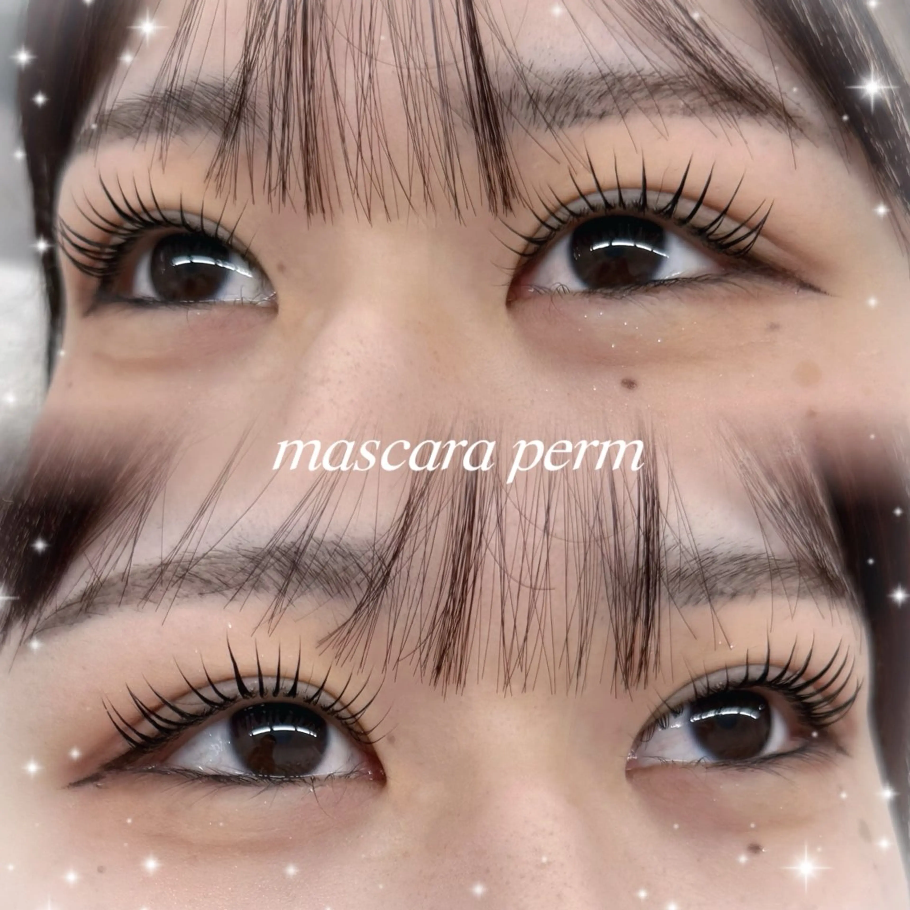 🇰🇷韓国発祥❣️マスカラパーマ｛❤︎ブラックティント❤︎｝｛川越/マツパ/まつげパーマ/｝の写真