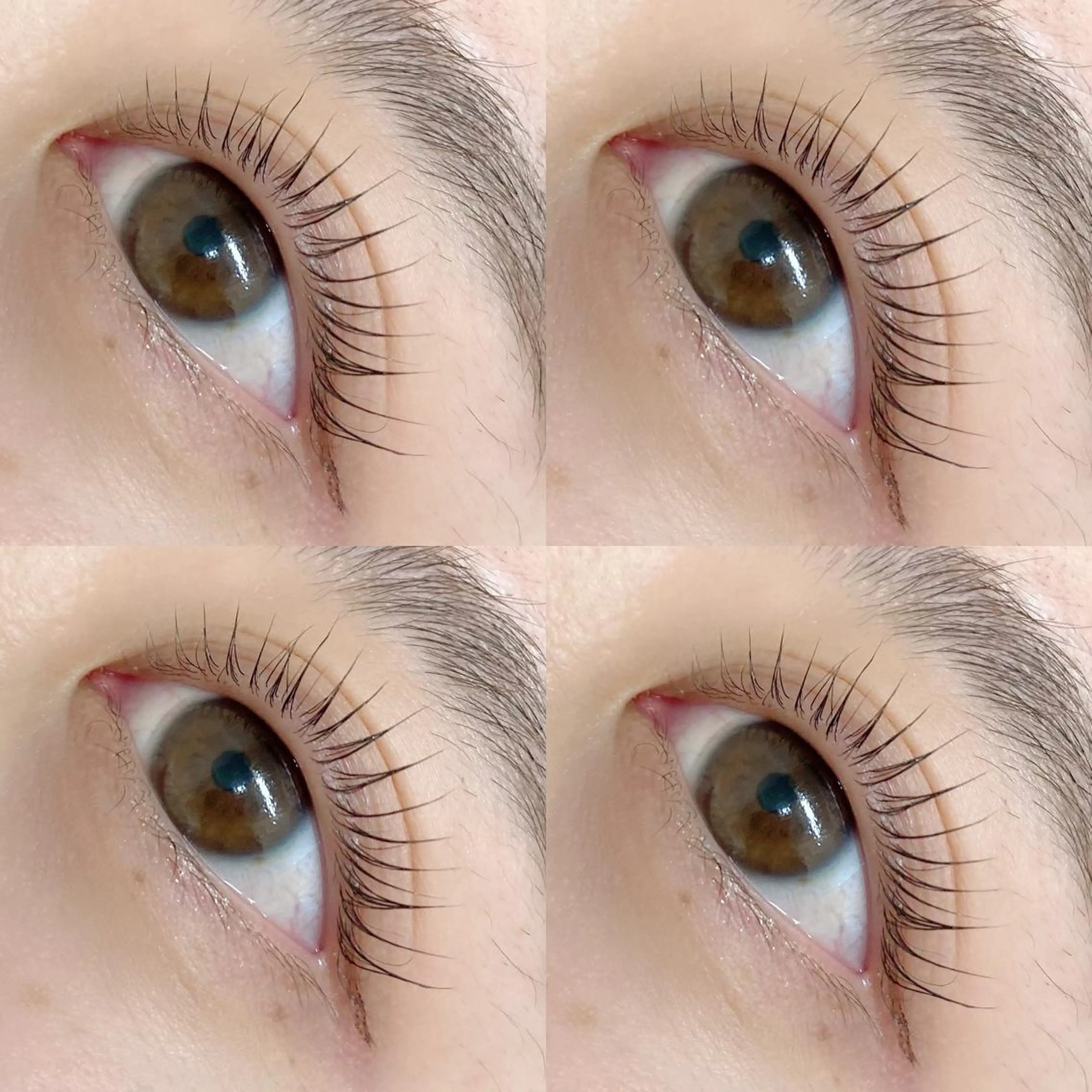 マツエク・マツパ パリジェンヌラッシュリフト まつげパーマ BAMBI 🖤KAWAIのマツエク・マツパデザイン