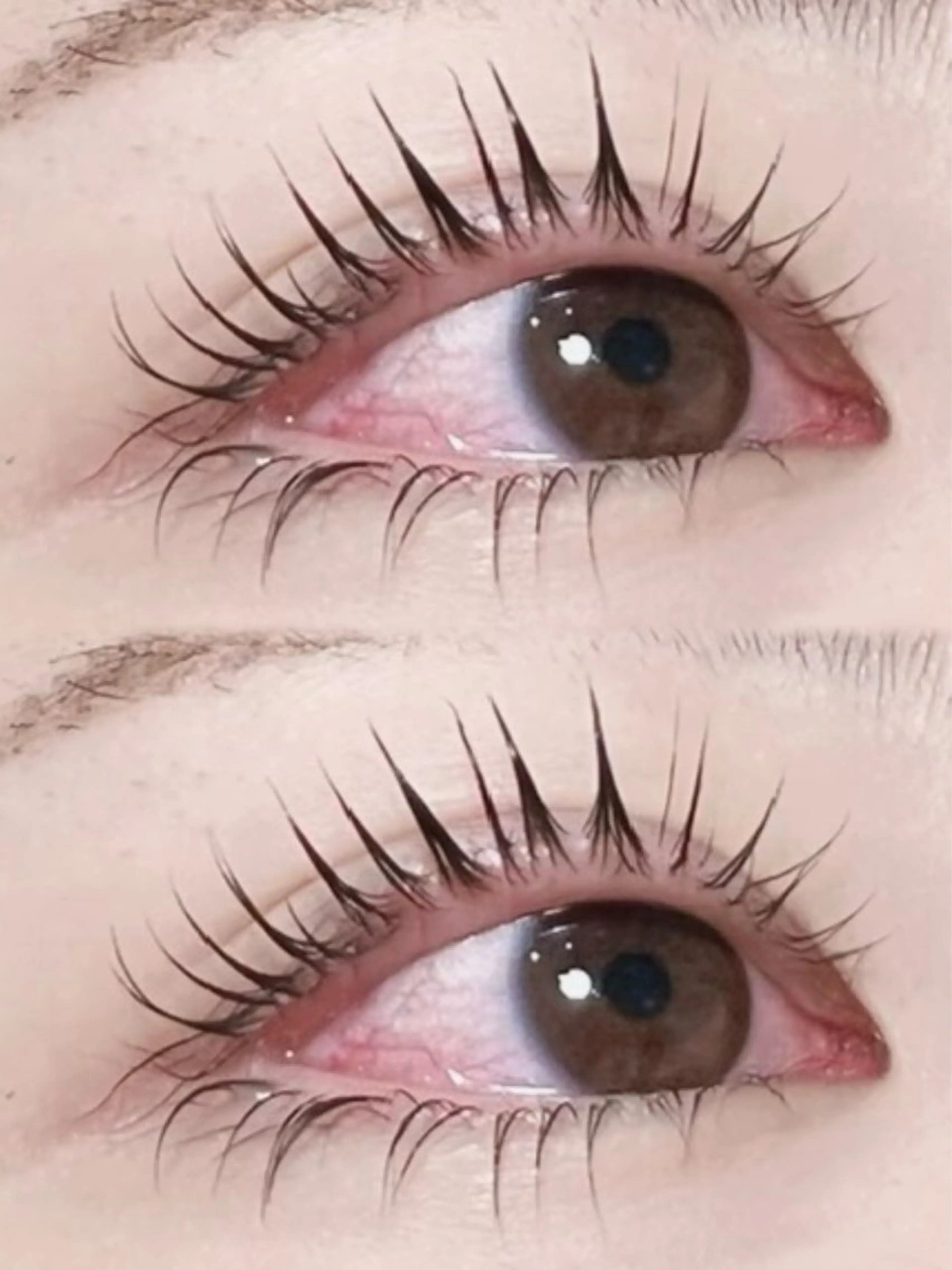 パリジェンヌラッシュ上下の写真