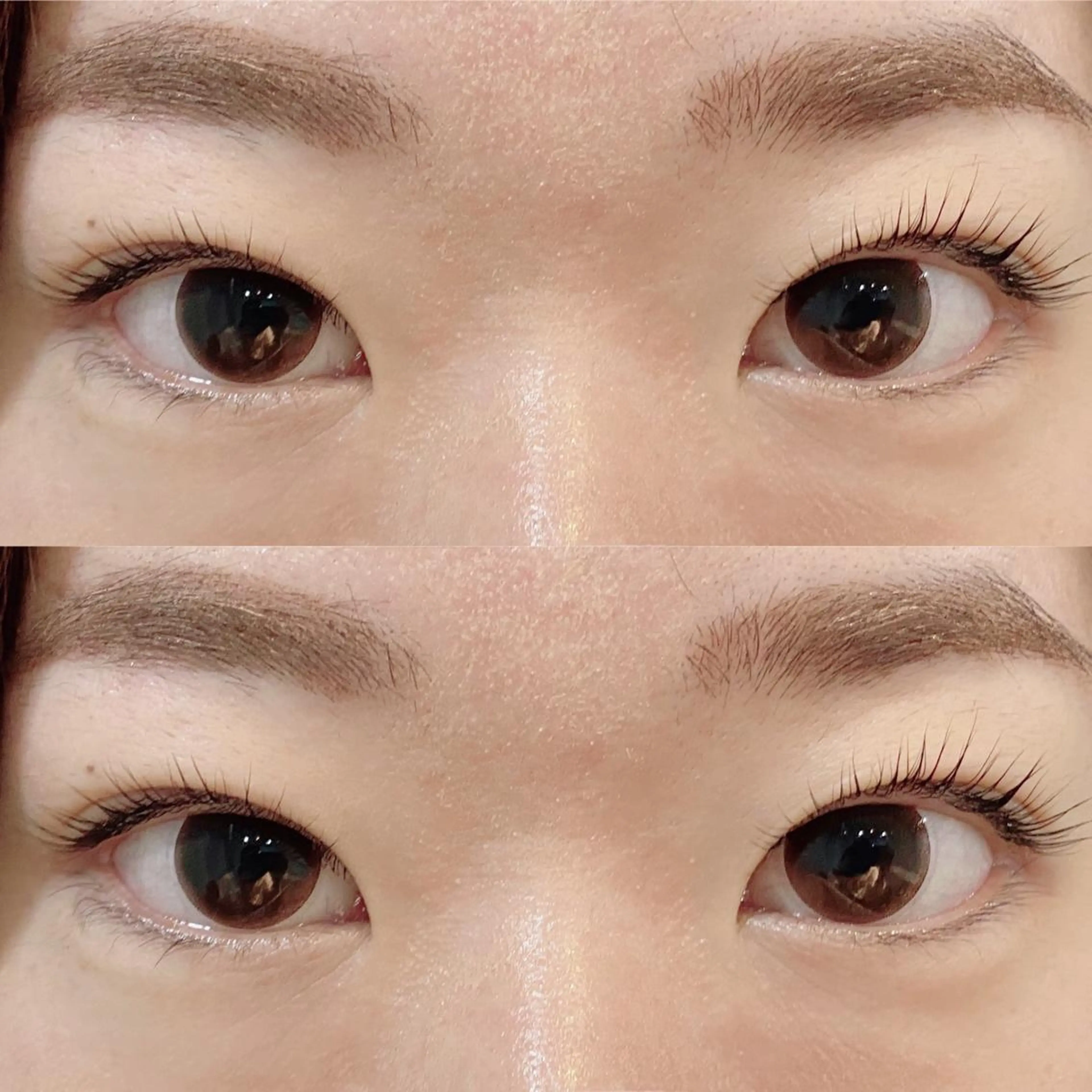 マツエク・マツパ パリジェンヌラッシュリフト Bianca 長津田店　長牛の眉毛・アイブロウイメージ