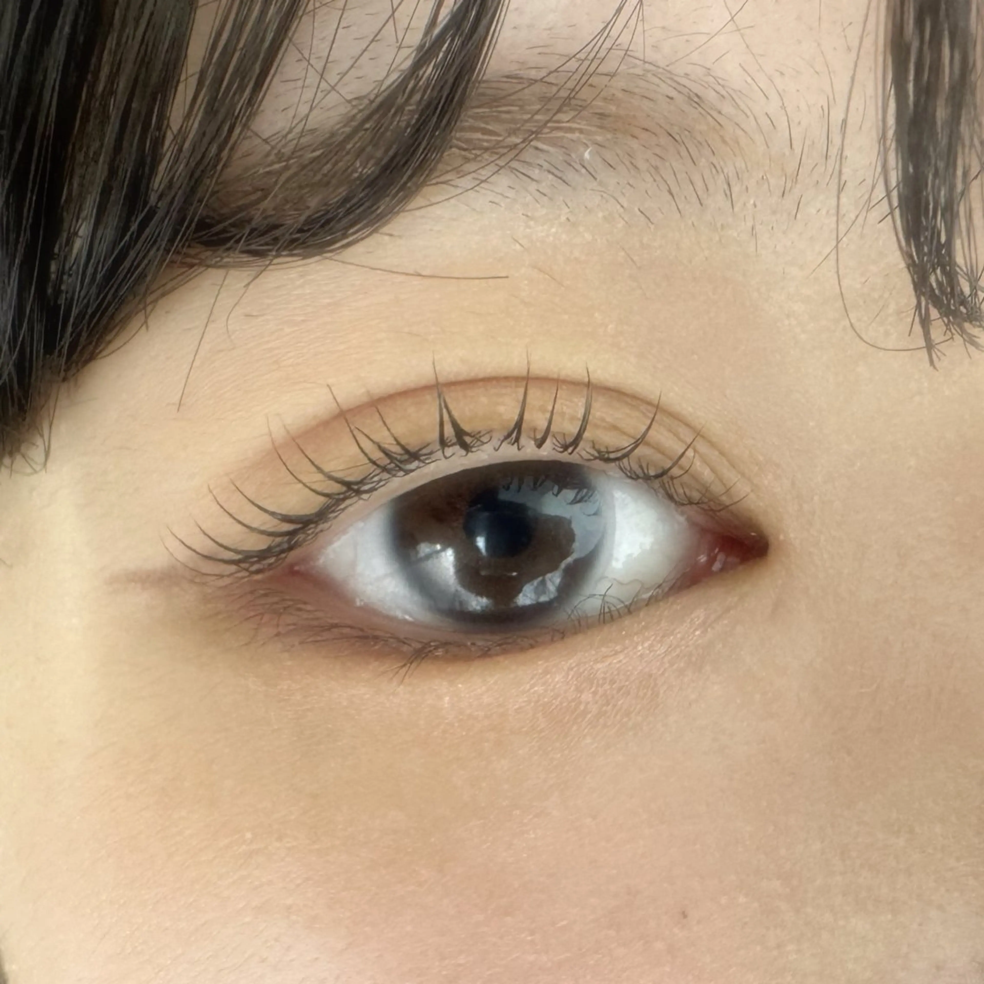 マツエク・マツパ shiara ‎🤍のマツエク・マツパデザイン