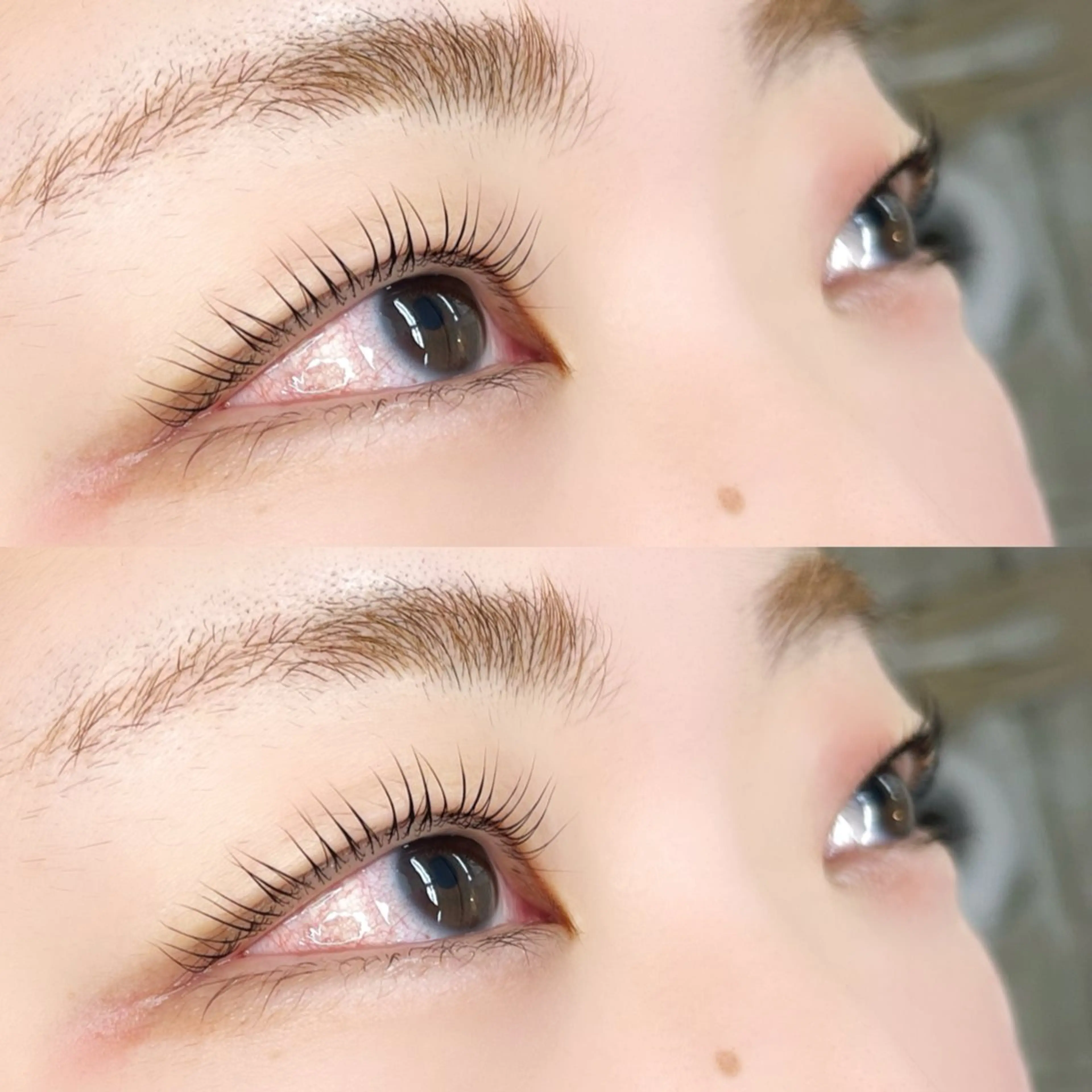 🩵上下パリジェンヌラッシュリフト・アイシャンプー付🩵の写真