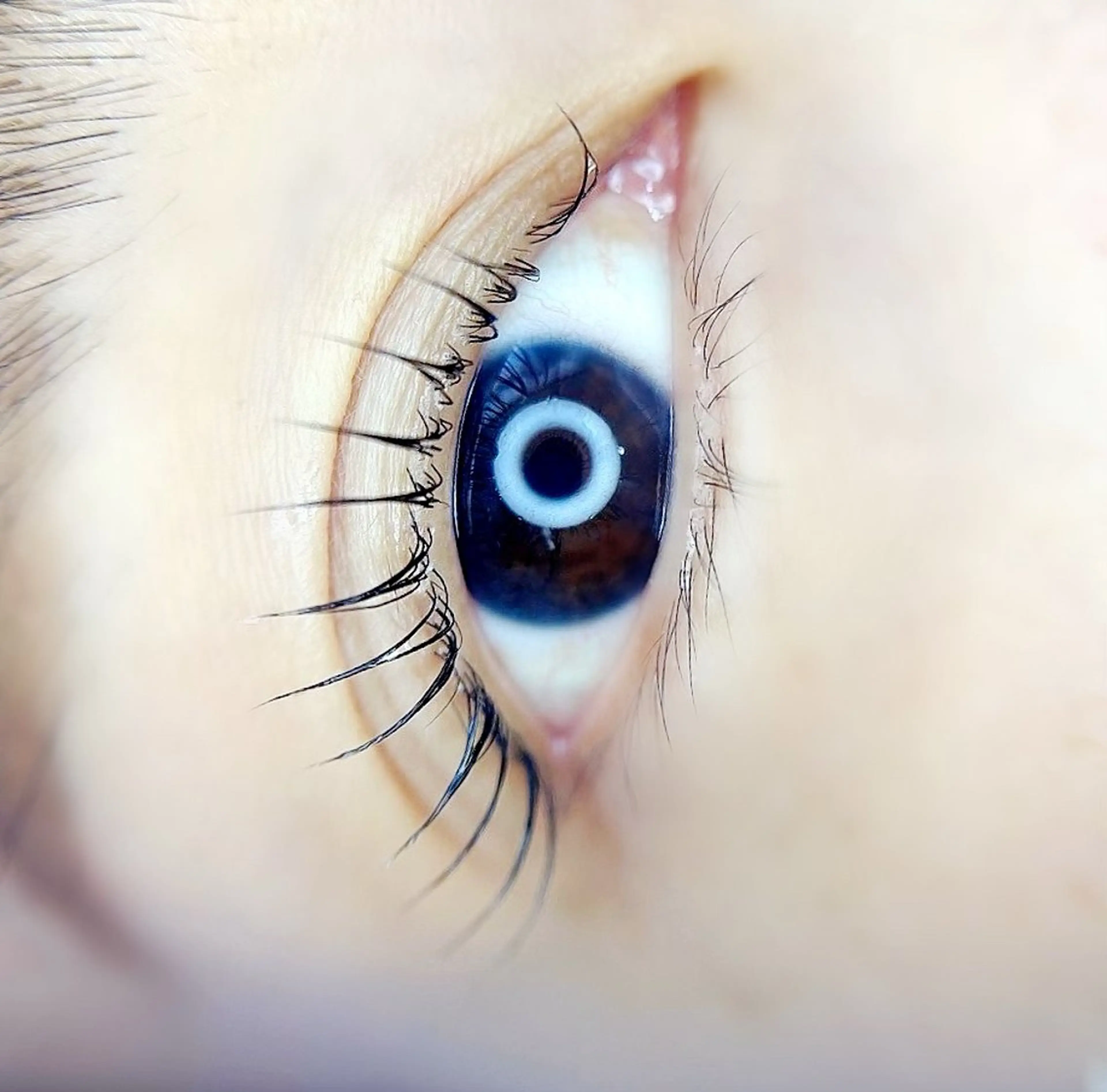 マツエク・マツパ un par unの眉毛・アイブロウイメージ