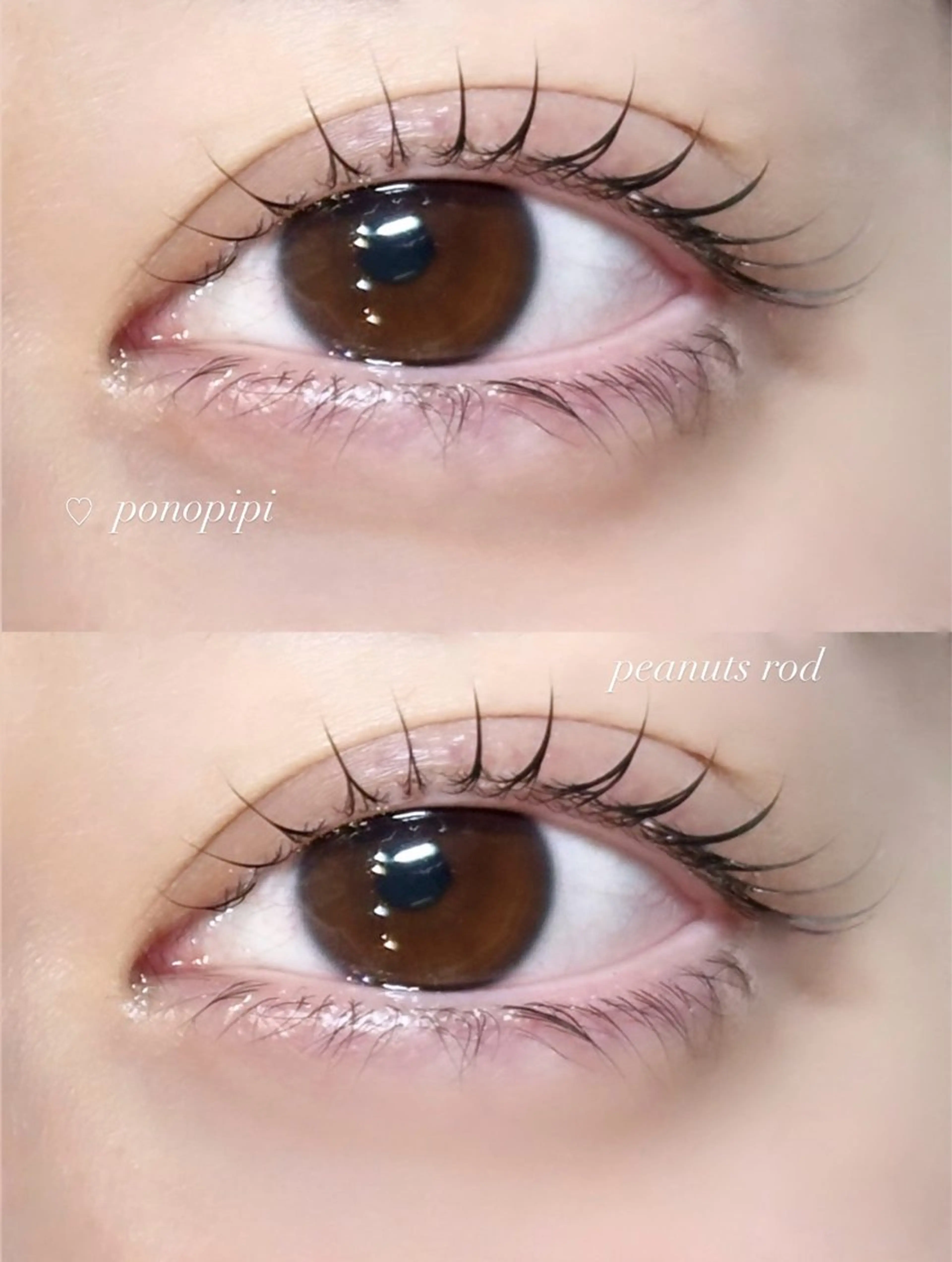 マツエク・マツパ マツパ ponopipi Rinのマツエク・マツパデザイン