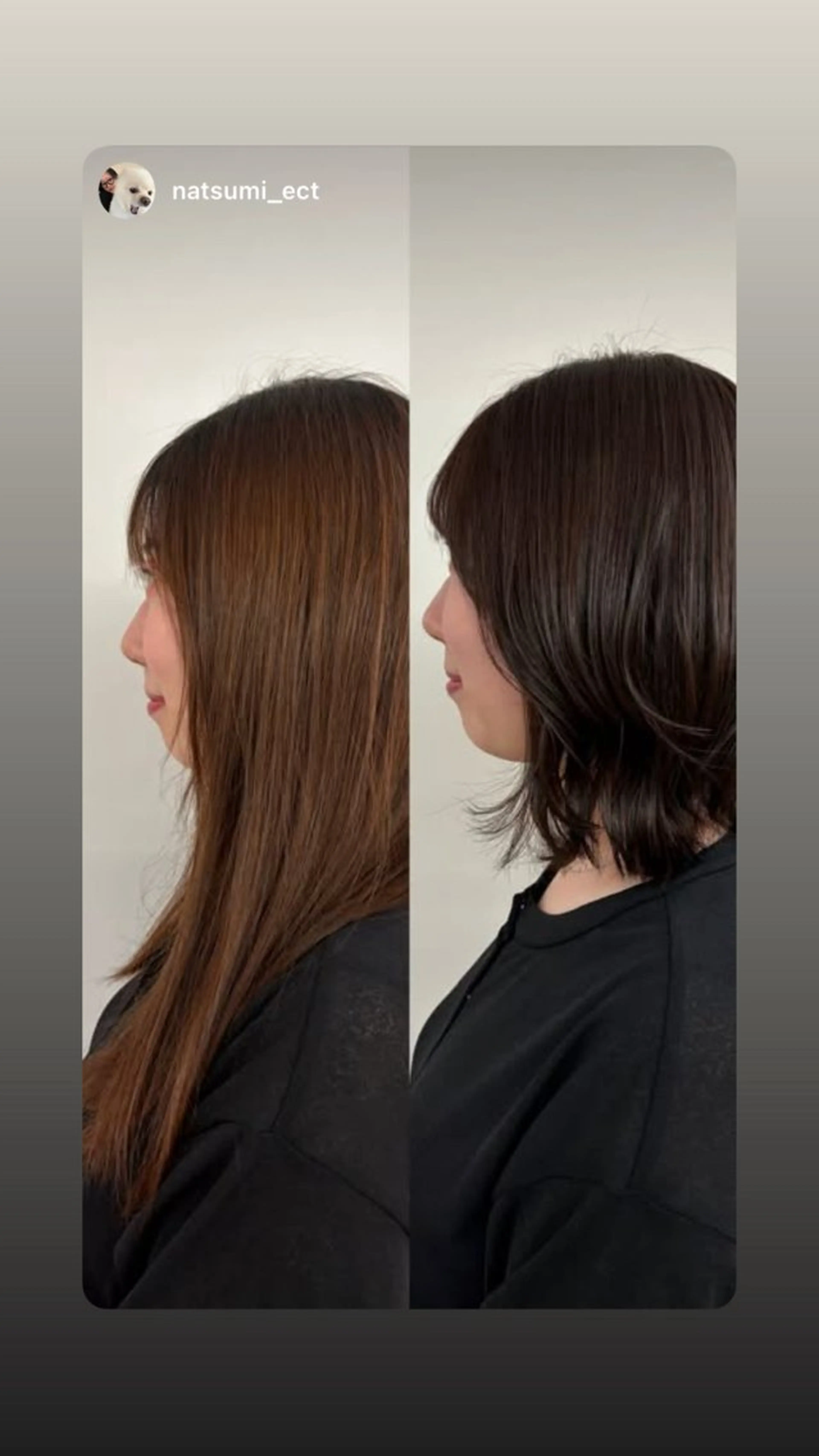 ショート カラー 堀川 なつみのヘアスタイル