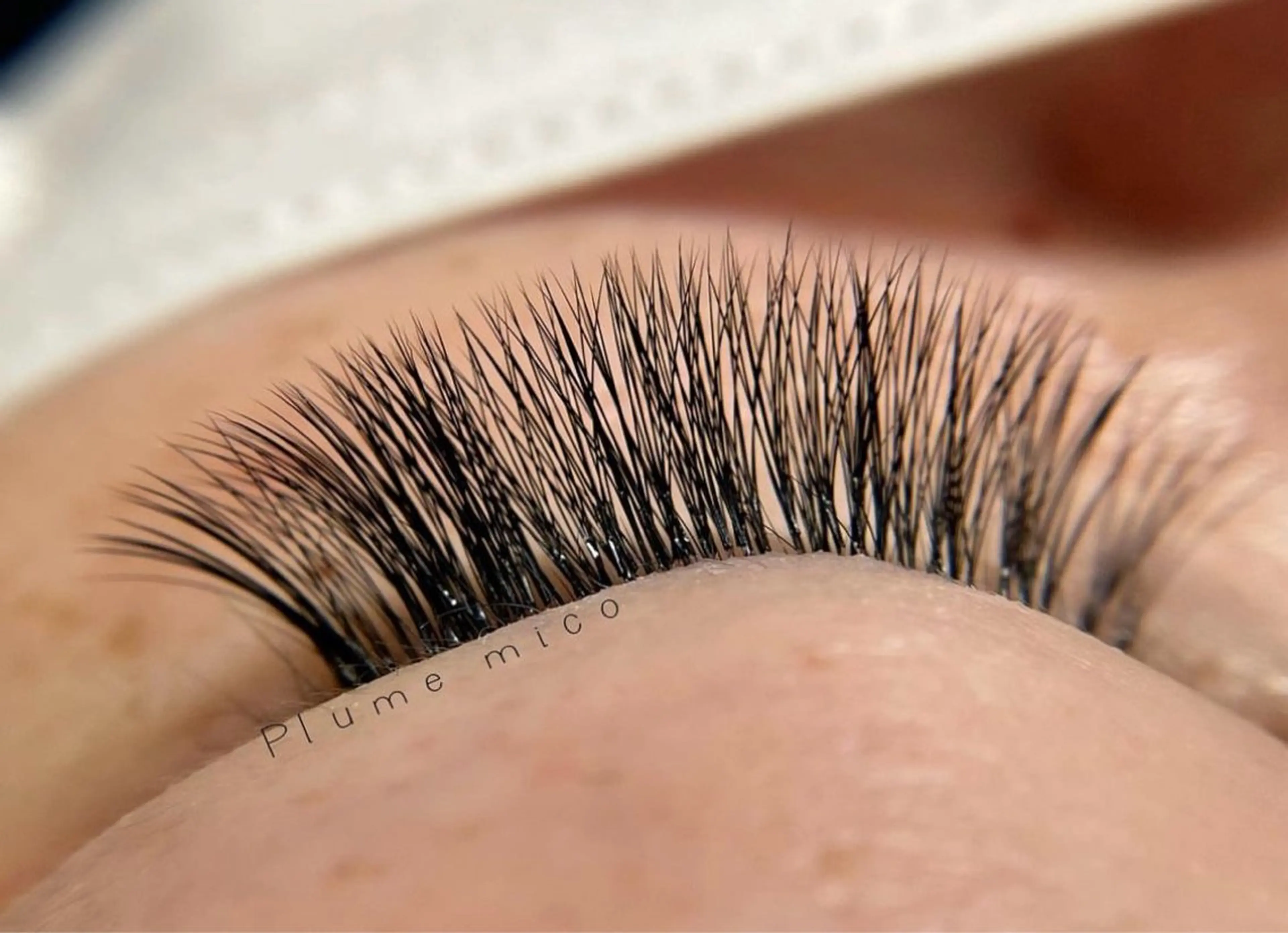 マツエク・マツパ マツエク Plume micoのマツエク・マツパデザイン