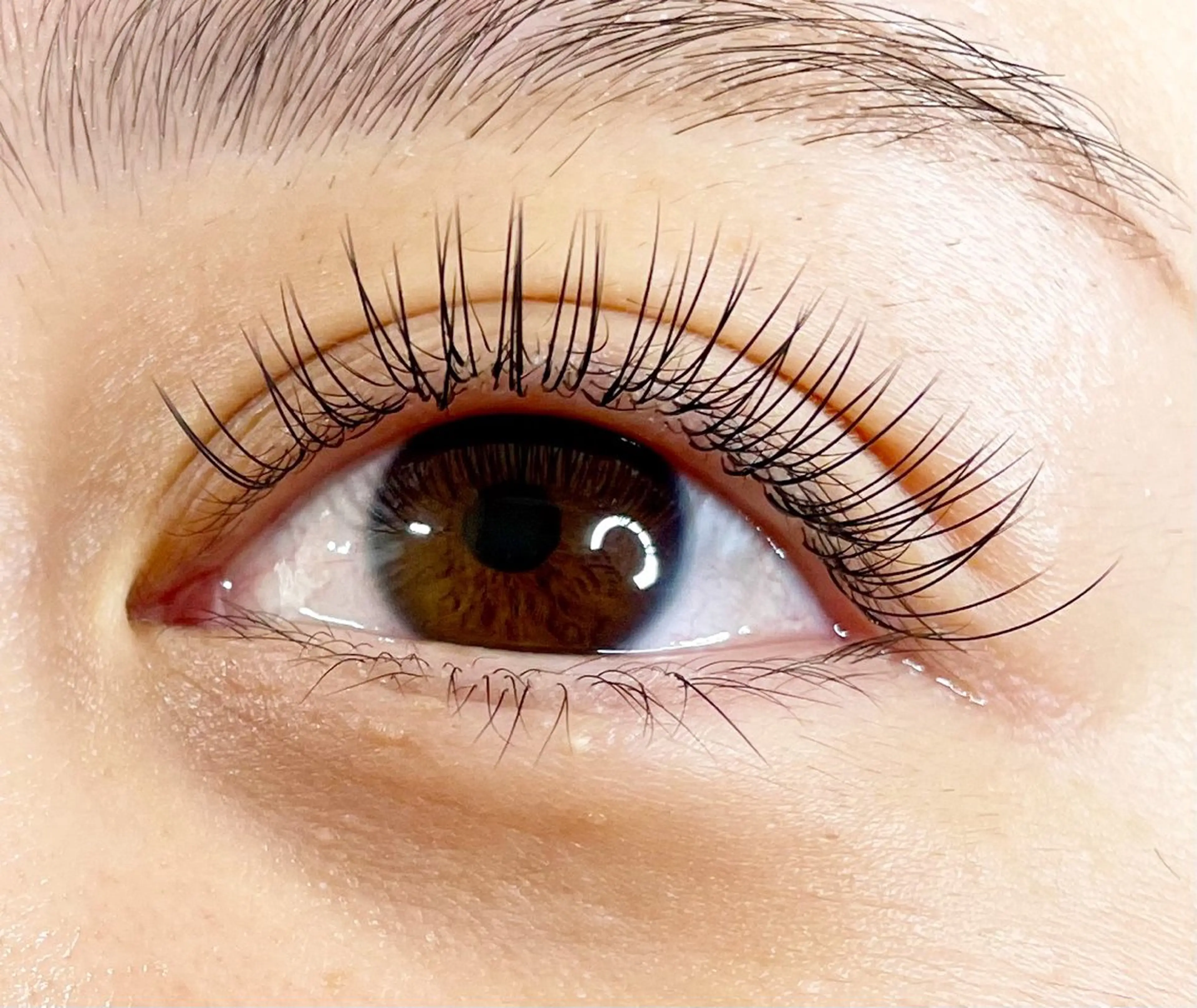 マツエク・マツパ マツエク Avenue 府中店のマツエク・マツパデザイン