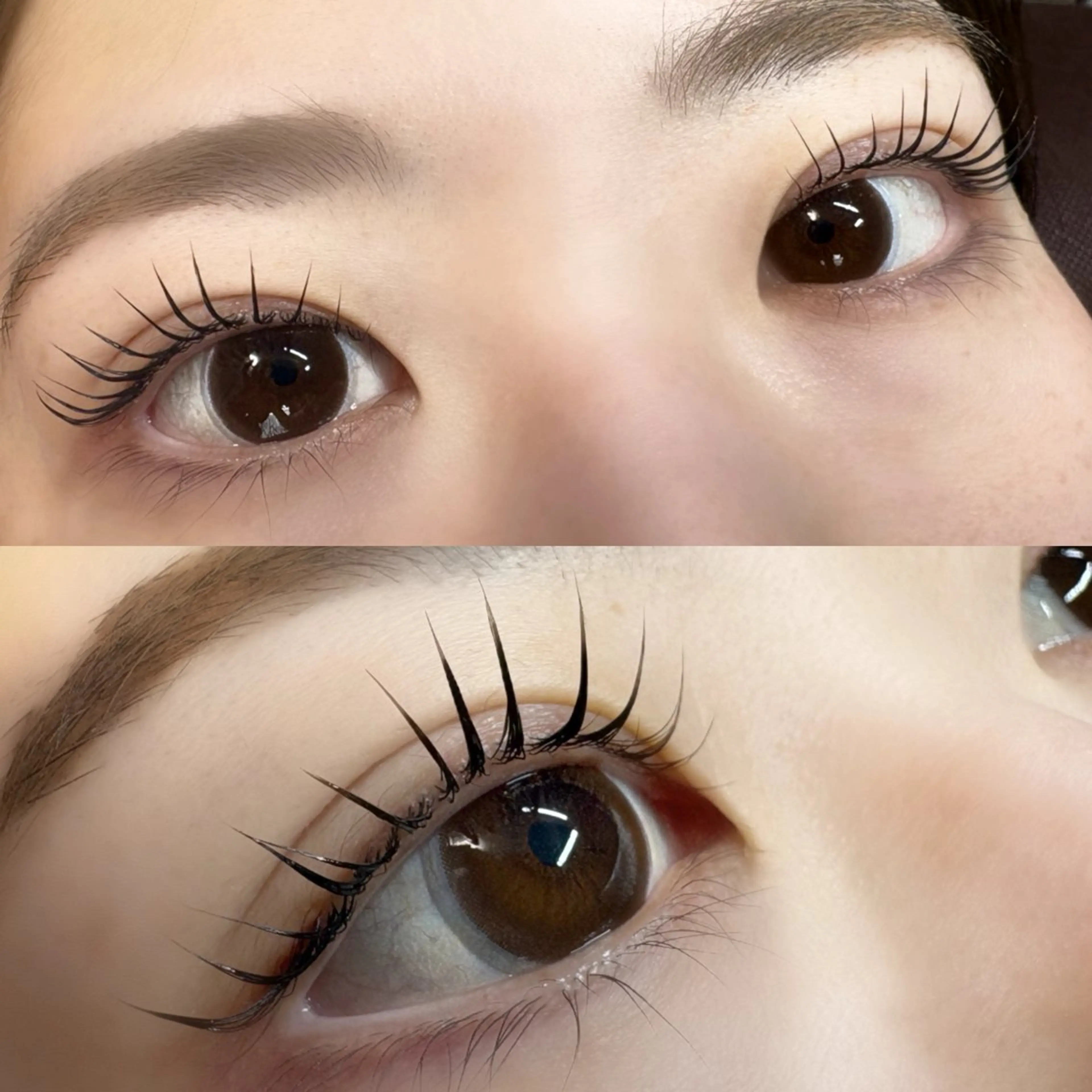 マツエク・マツパ マツパ 🌼RANUN Miya🌼のマツエク・マツパデザイン