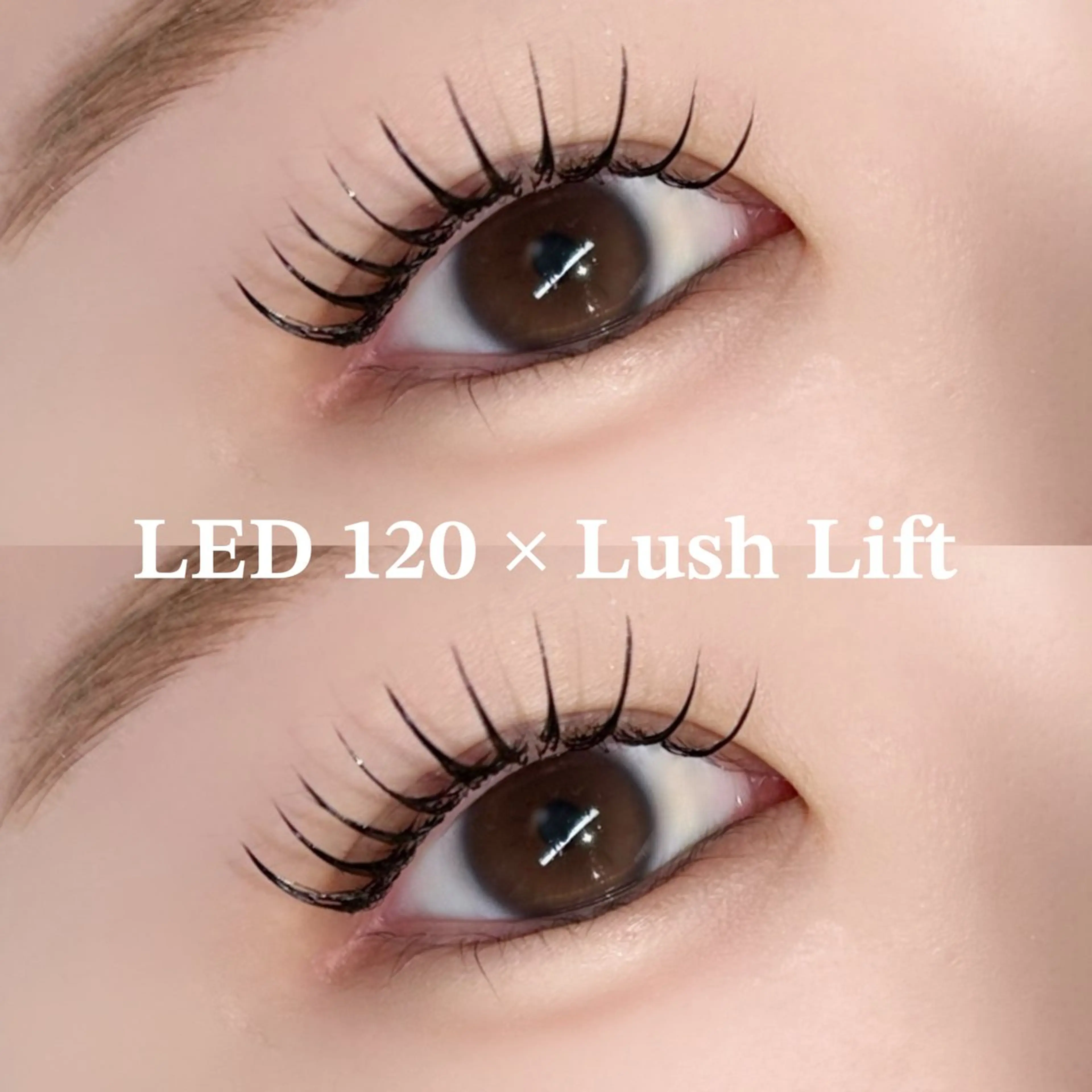 マツエク・マツパ EYELA熊本 YUIのマツエク・マツパデザイン