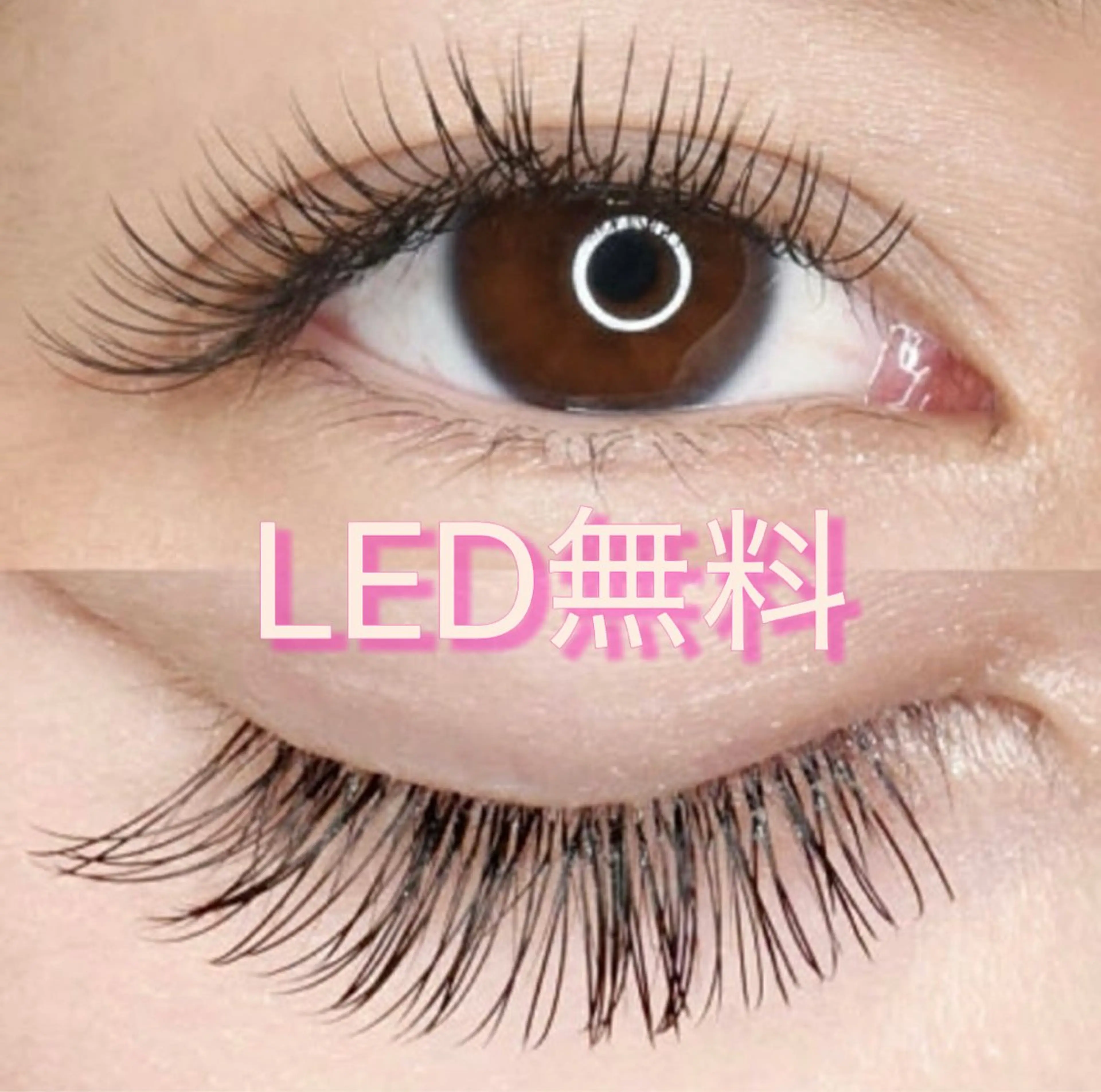 LED専門店🌻LED無料🎀マツエク　フラット　140本の写真