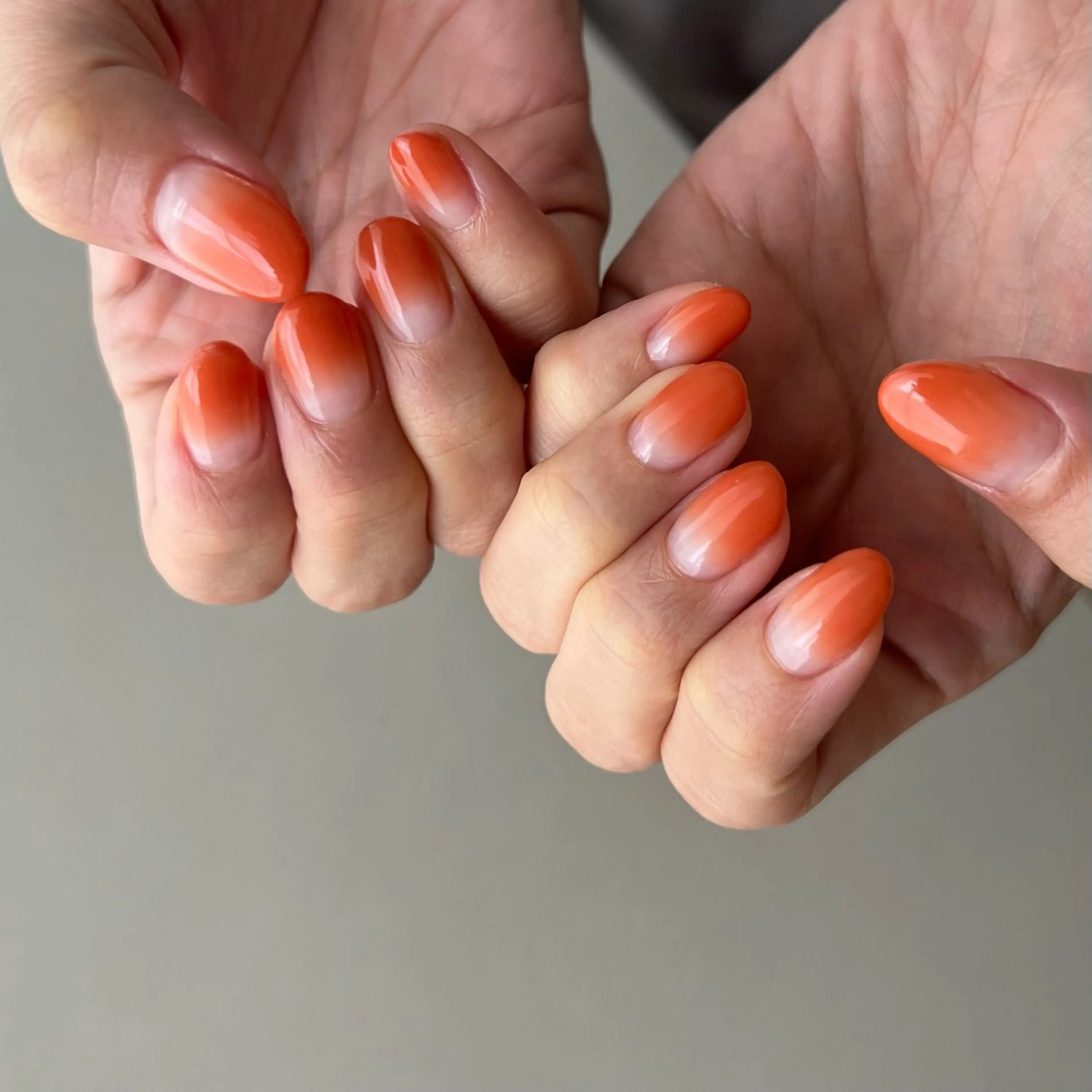 【オフあり】グラデーションの写真