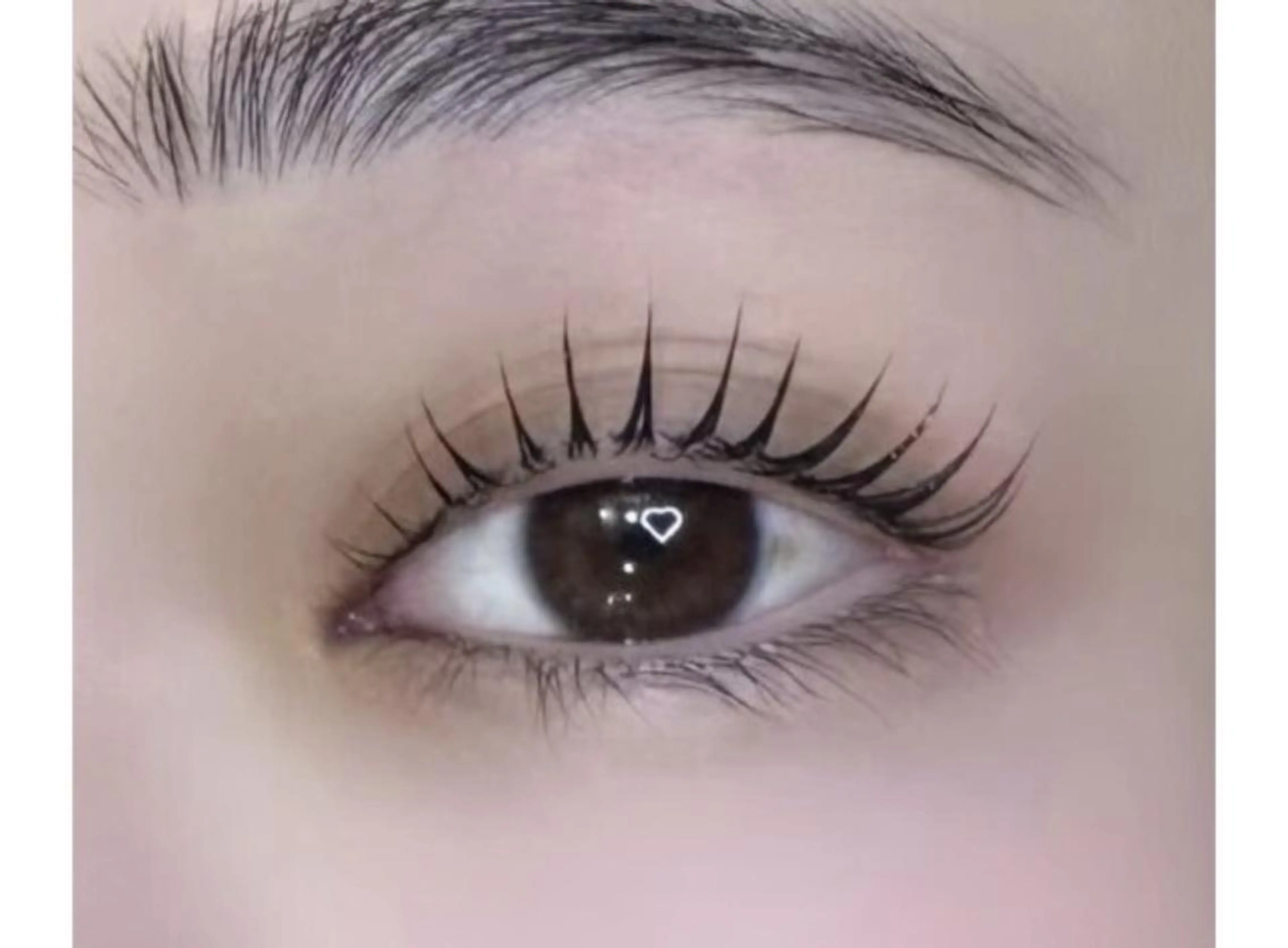 復帰記念特別クーポン！！パリジェンヌラッシュリフト4950円✨の写真