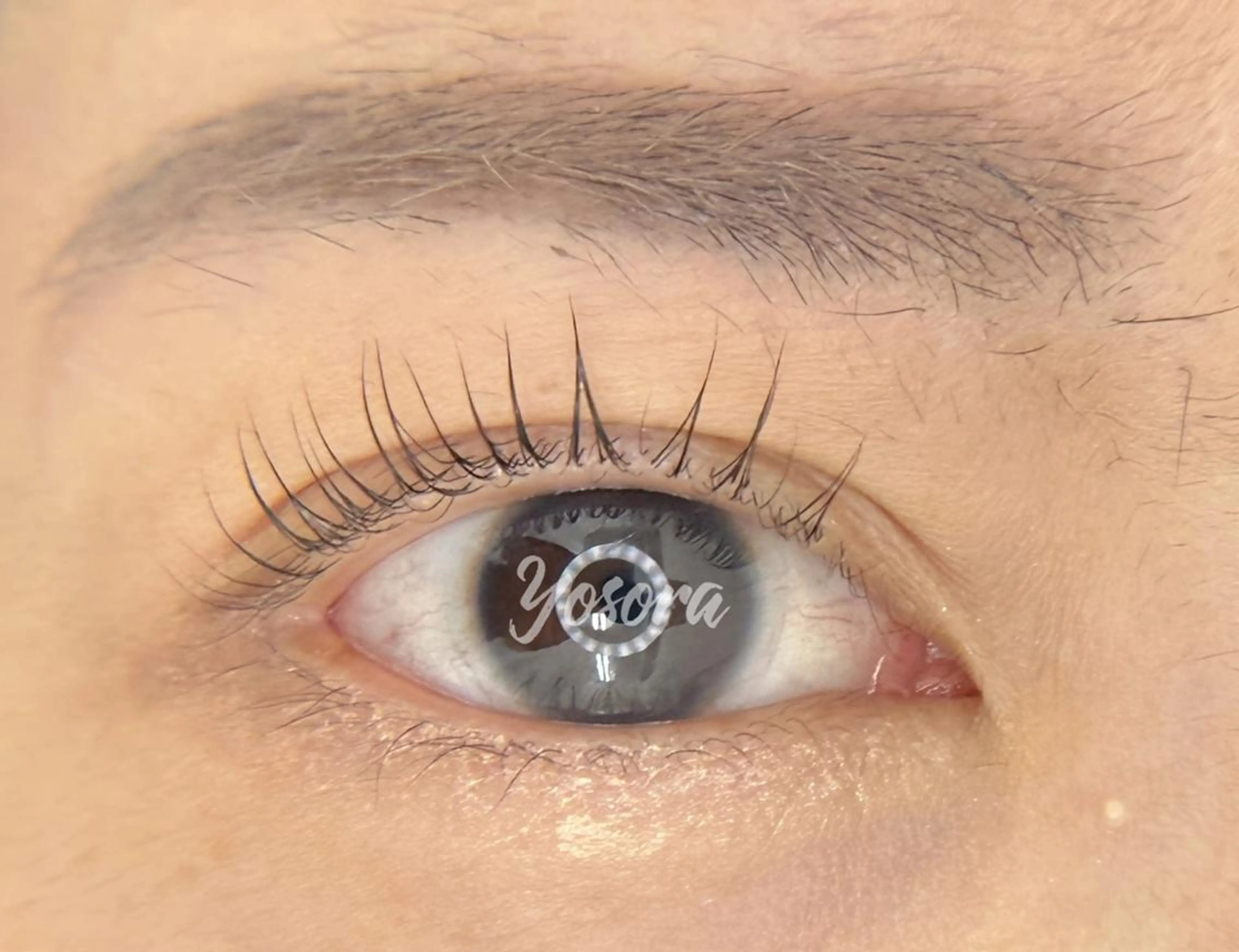 マツエク・マツパ パリジェンヌラッシュリフト マツパ Yosora salonのマツエク・マツパデザイン