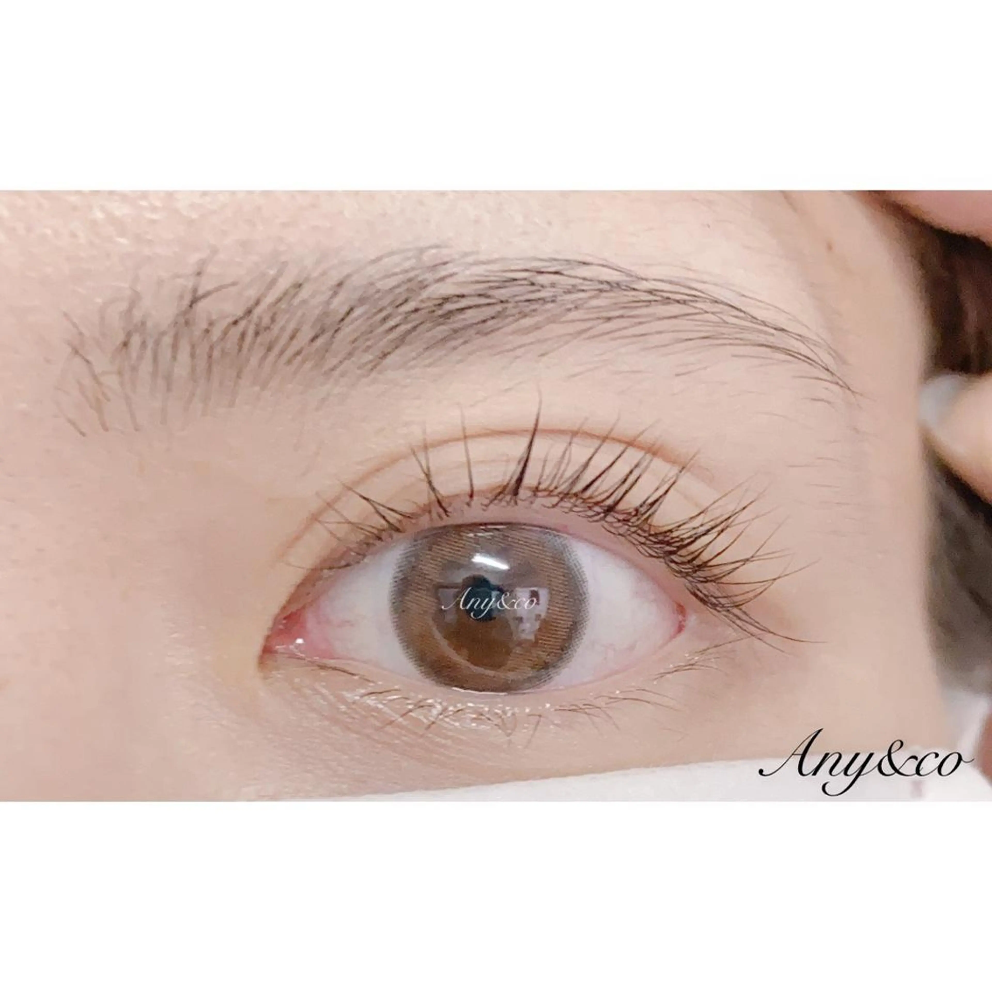 マツエク・マツパ アイリッドアップパーマ 一重×まつ毛パーマ Any&co 【エニコ】のマツエク・マツパデザイン