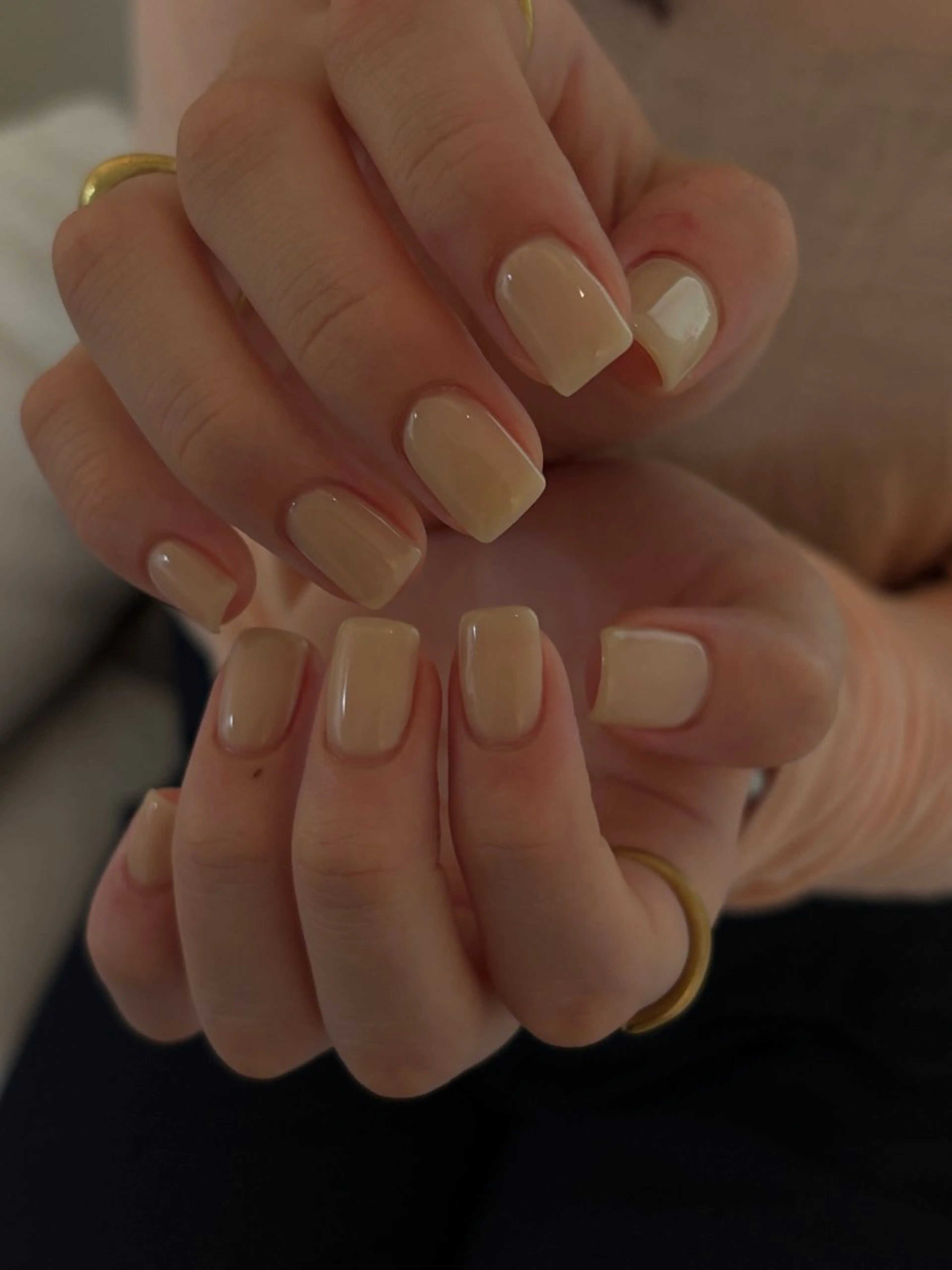 ワンカラー［オフなし］の写真