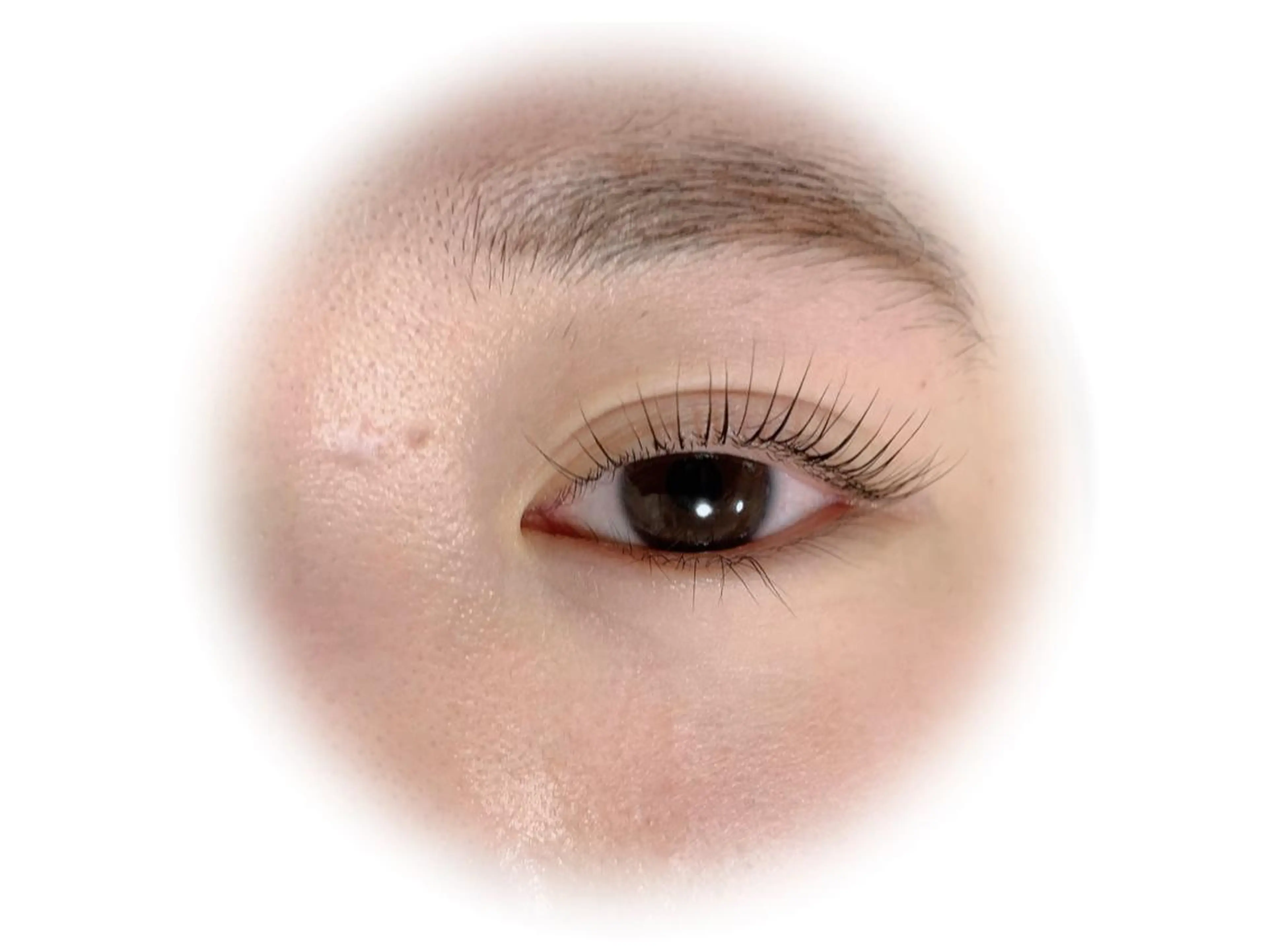 マツエク・マツパ マツパ Lapin【ラパン】所属・Lapin ラパンのマツエク・マツパデザイン