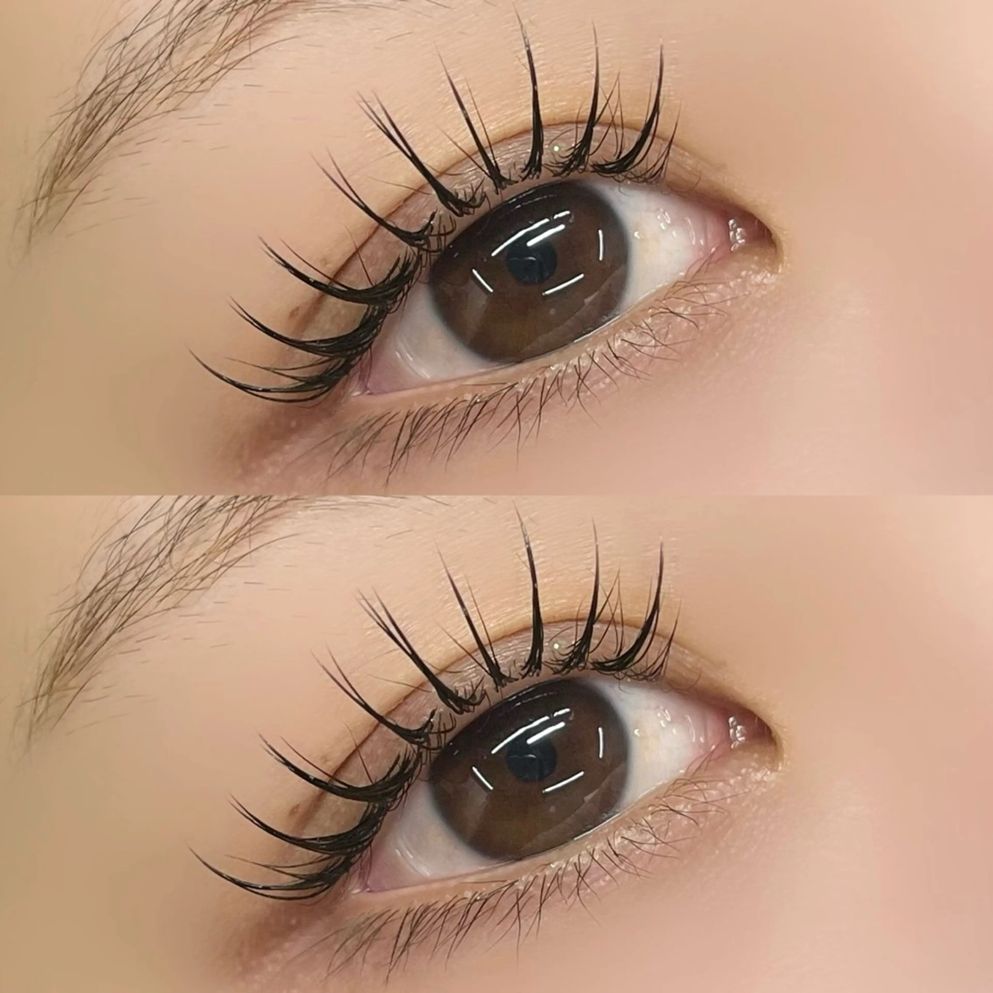 《当日予約限定》フラットラッシュ100本✨¥5770の写真