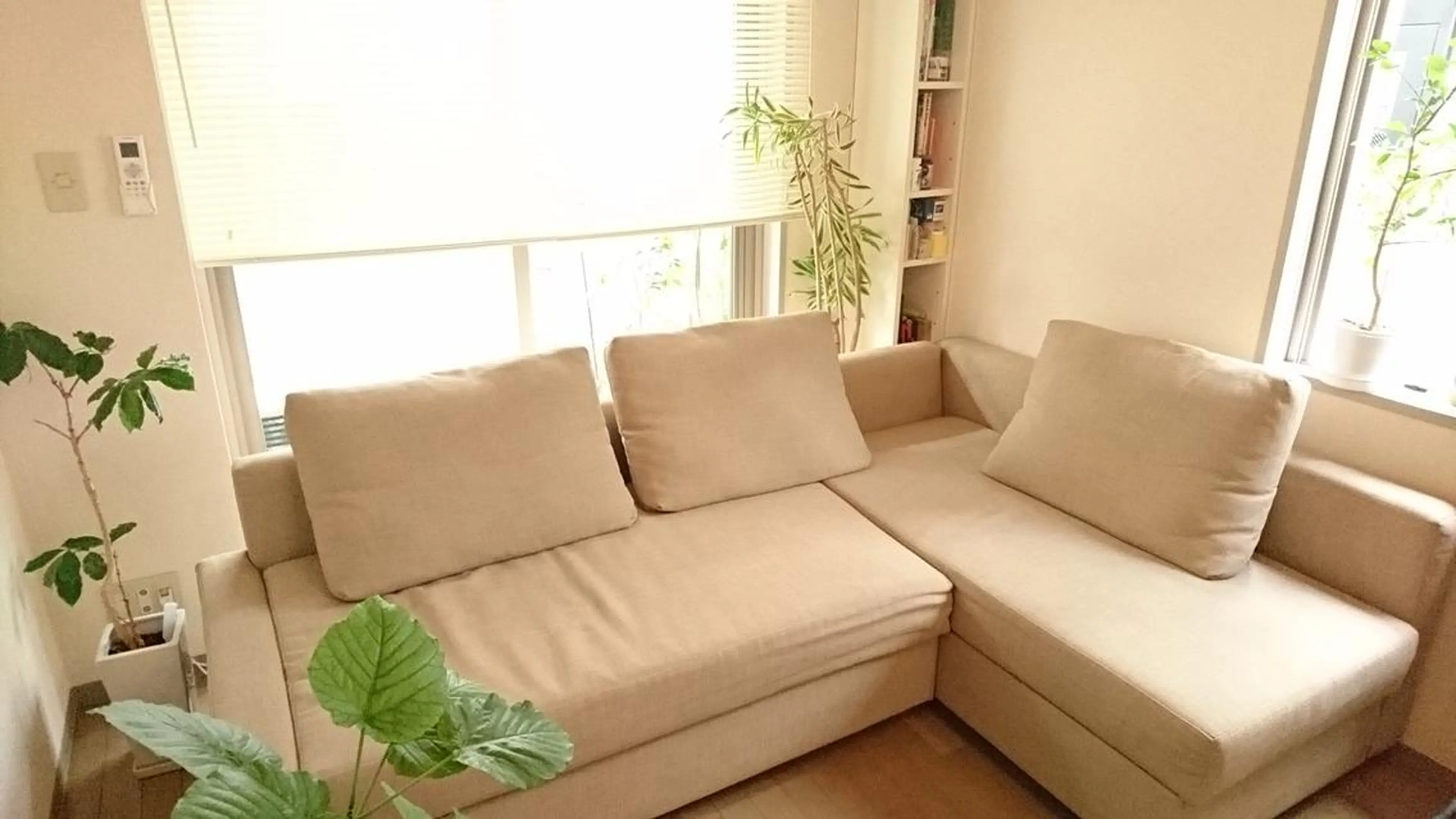 瀬川  幸宏	のその他イメージ