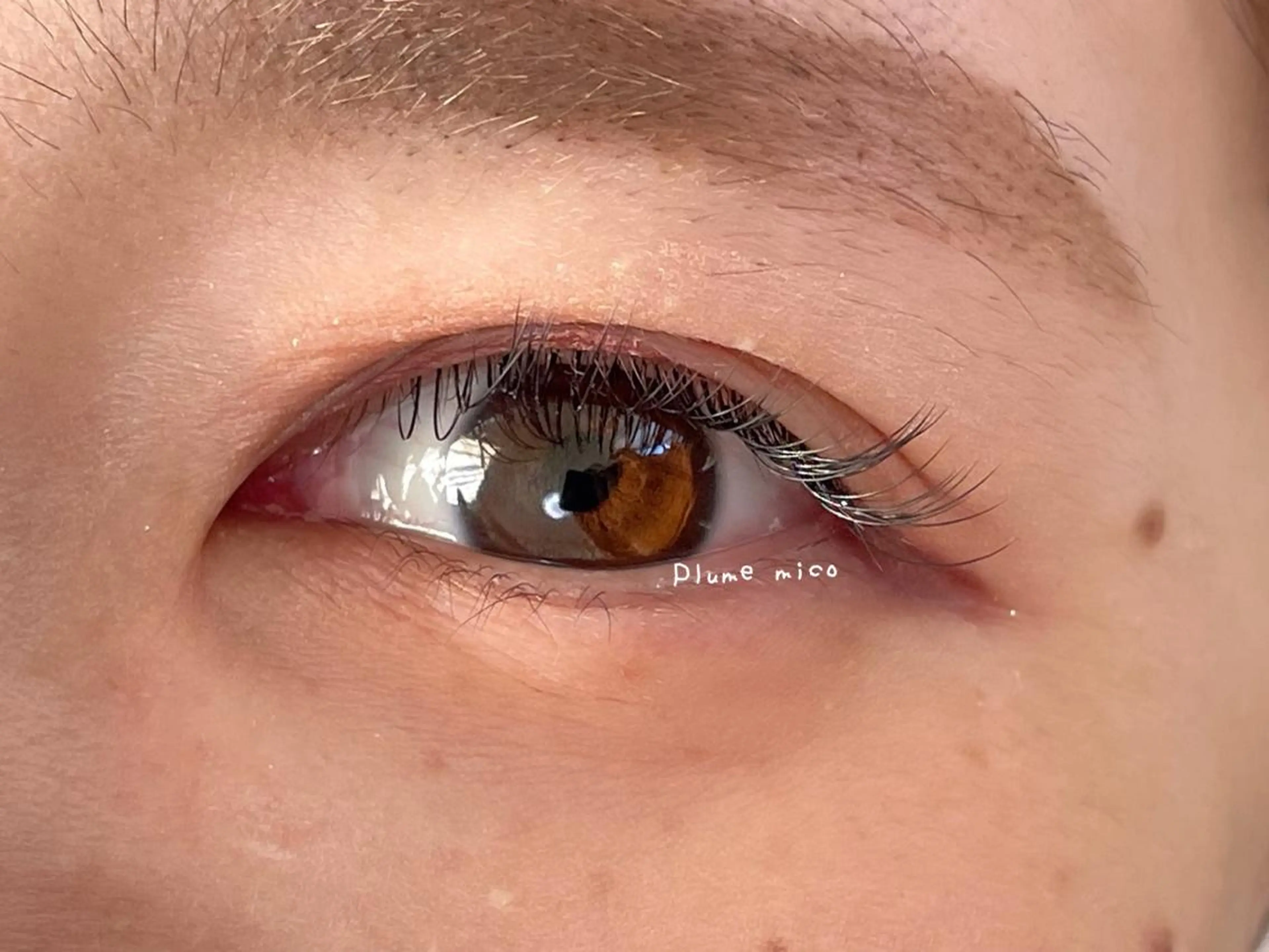 マツエク・マツパ マツエク Plume micoのマツエク・マツパデザイン