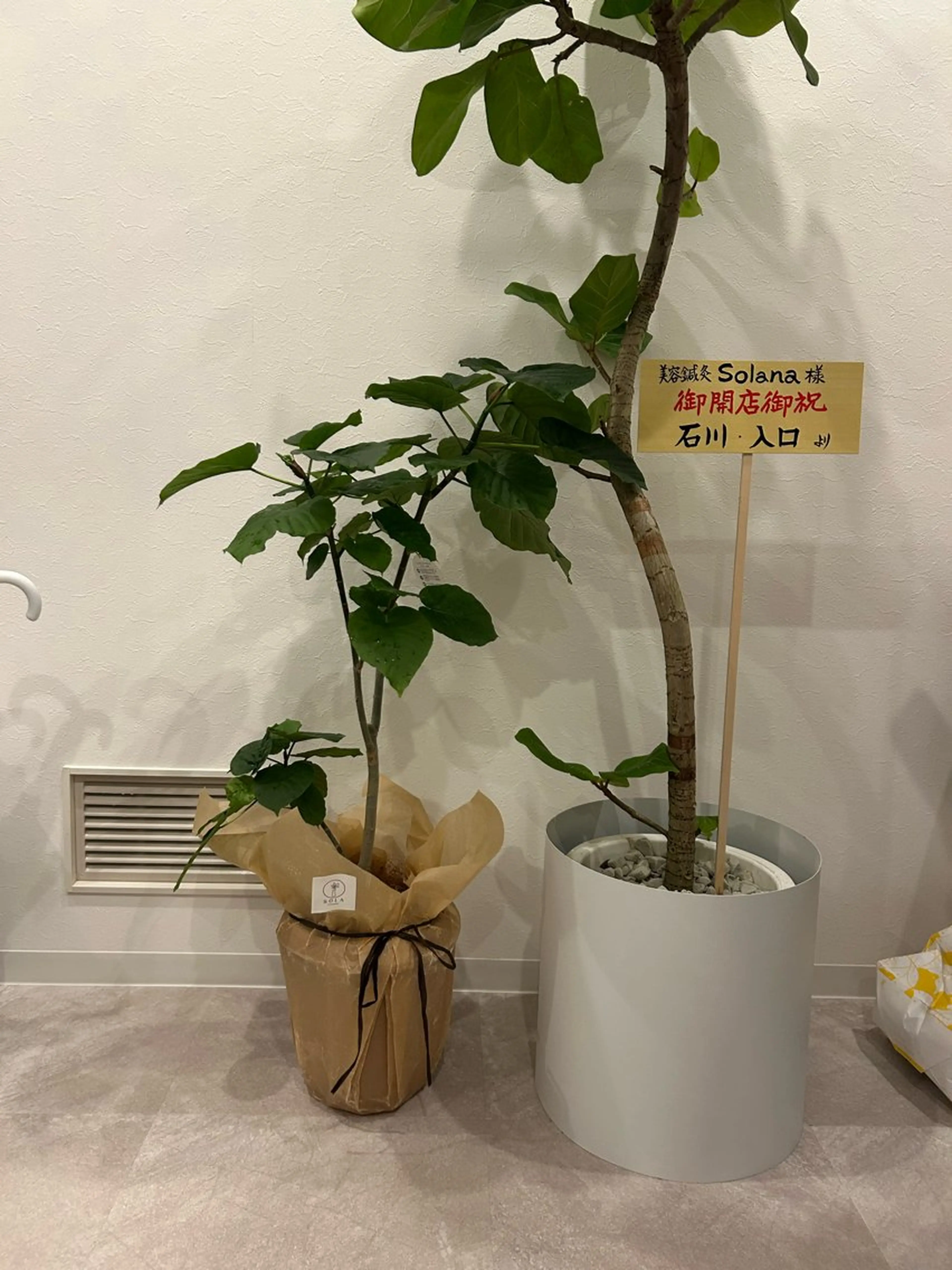 肌質改善×美容鍼 ゆいのエステ・リラクイメージ