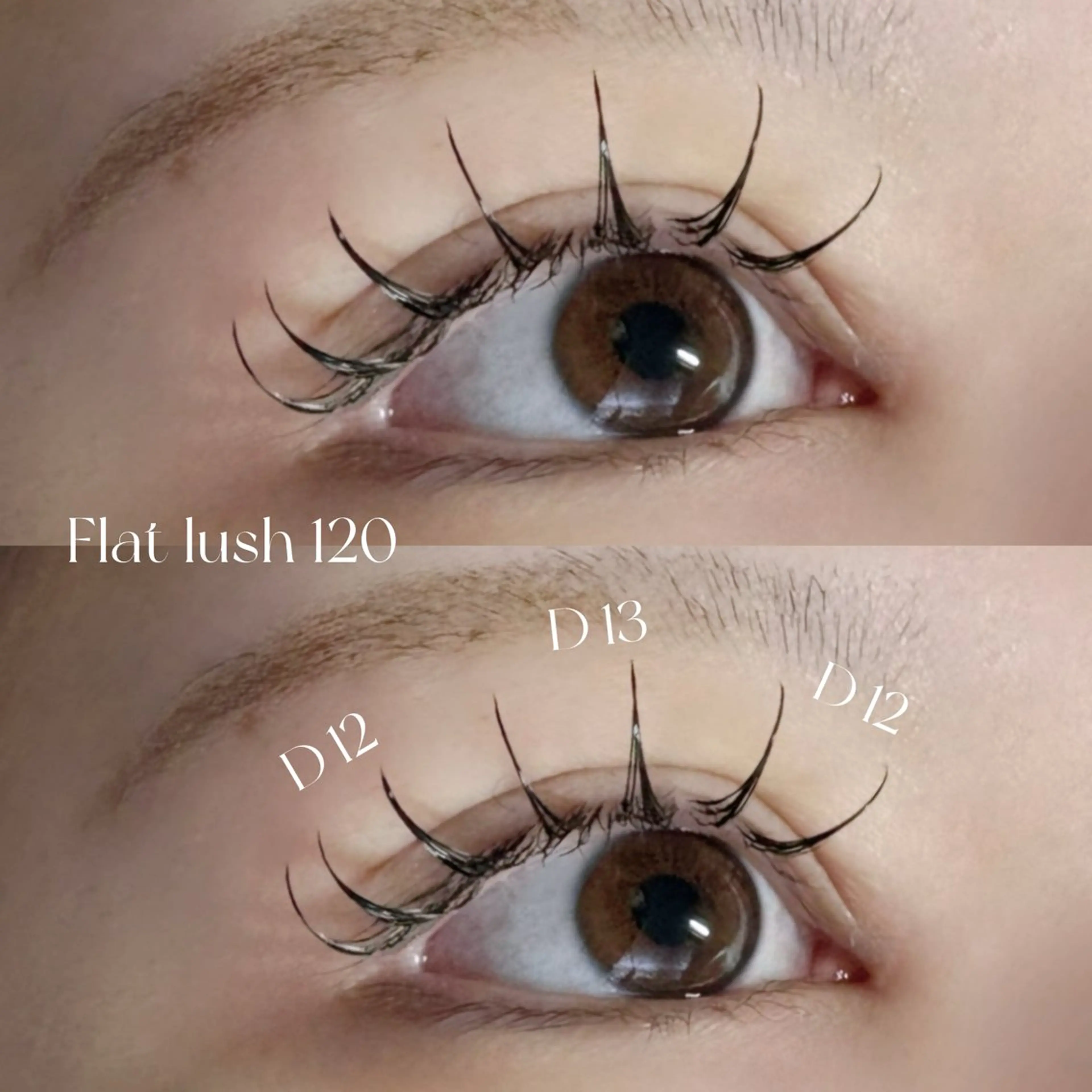 【フラットラッシュ 120本　オフなし】※11:00​〜​17:00（最終受付16:00）限定の写真