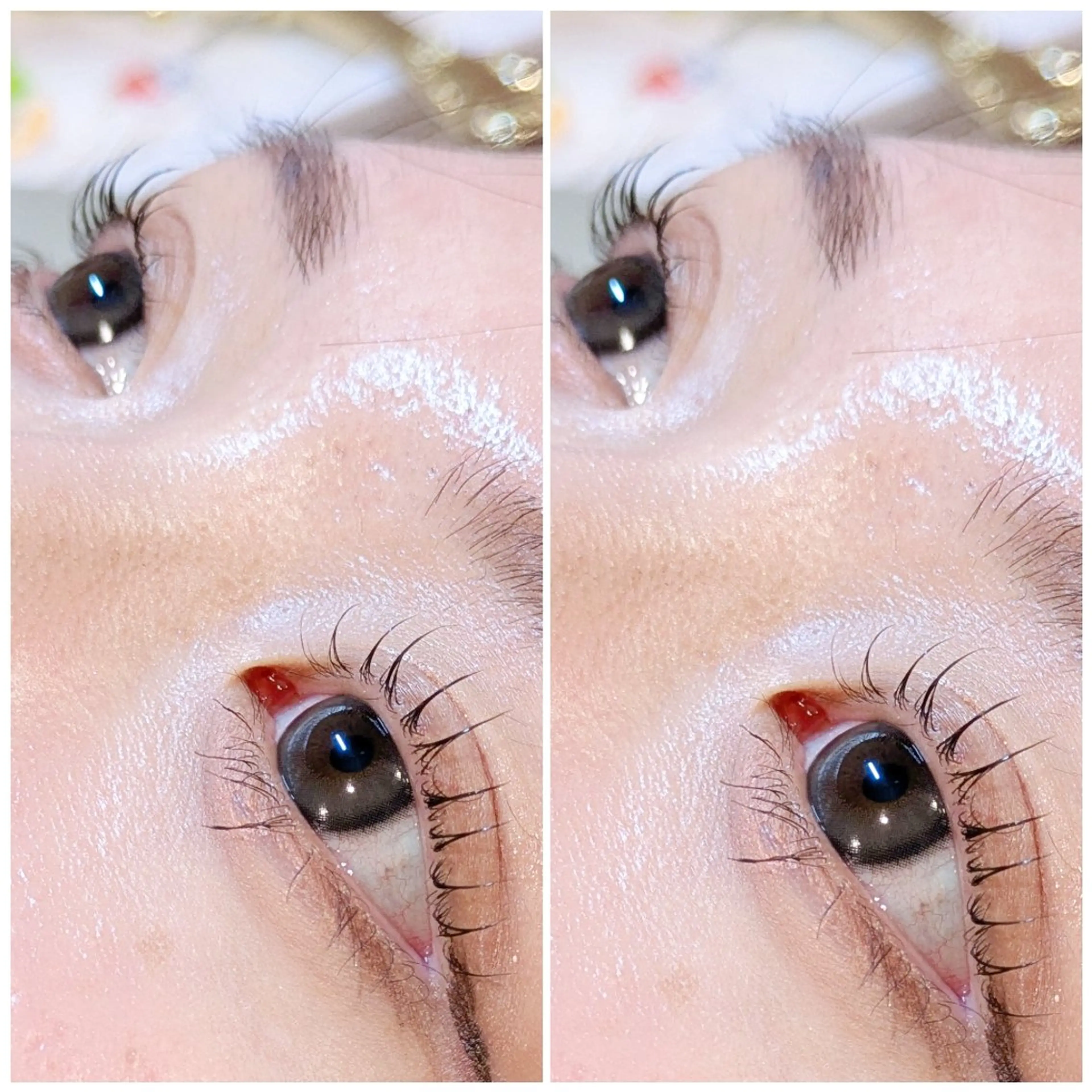 【2回目以降🎈❤️】まつげパーマorパリジェンヌ どちらも🆗◎/*˚の写真