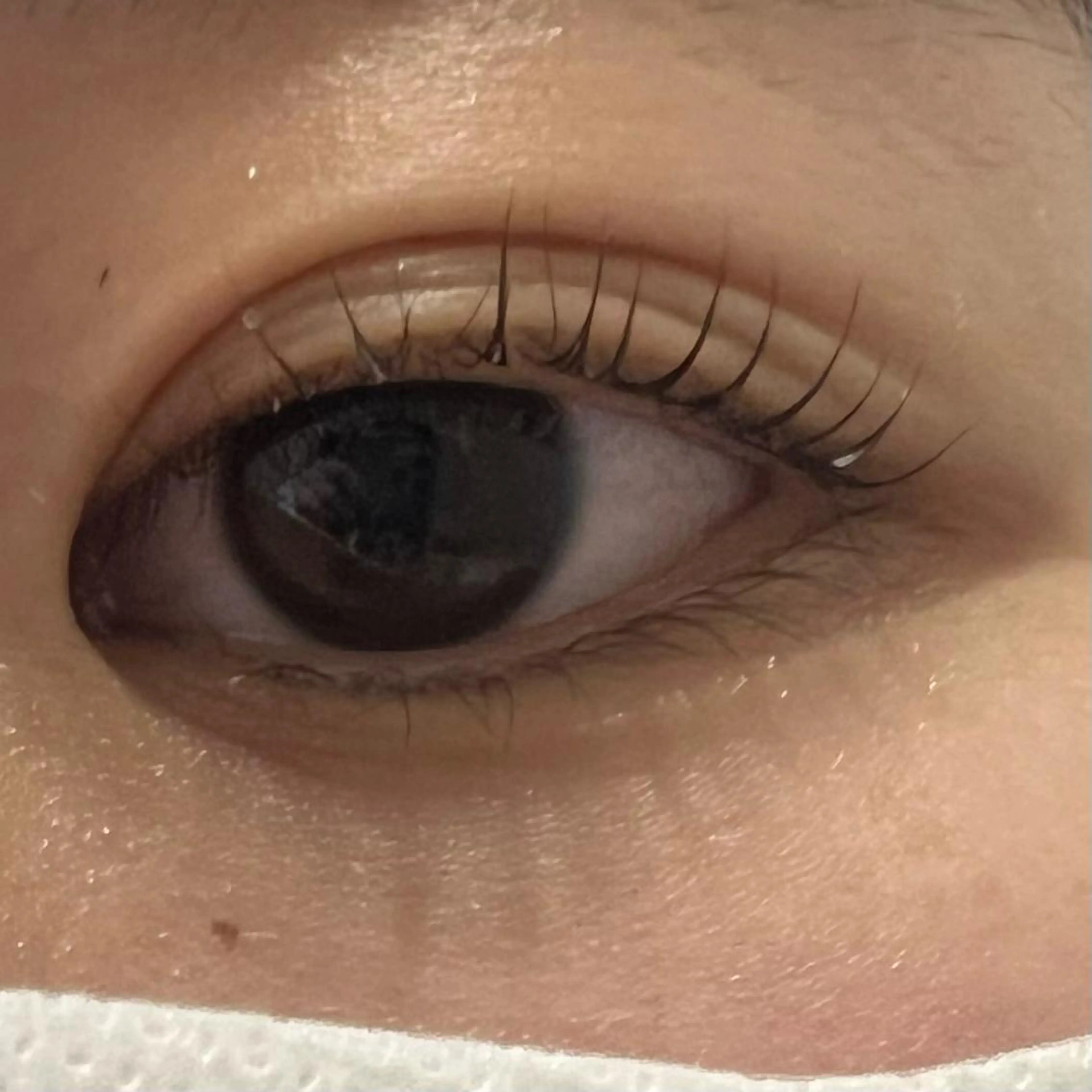 マツエク・マツパ miel yamaguchiの眉毛・アイブロウイメージ