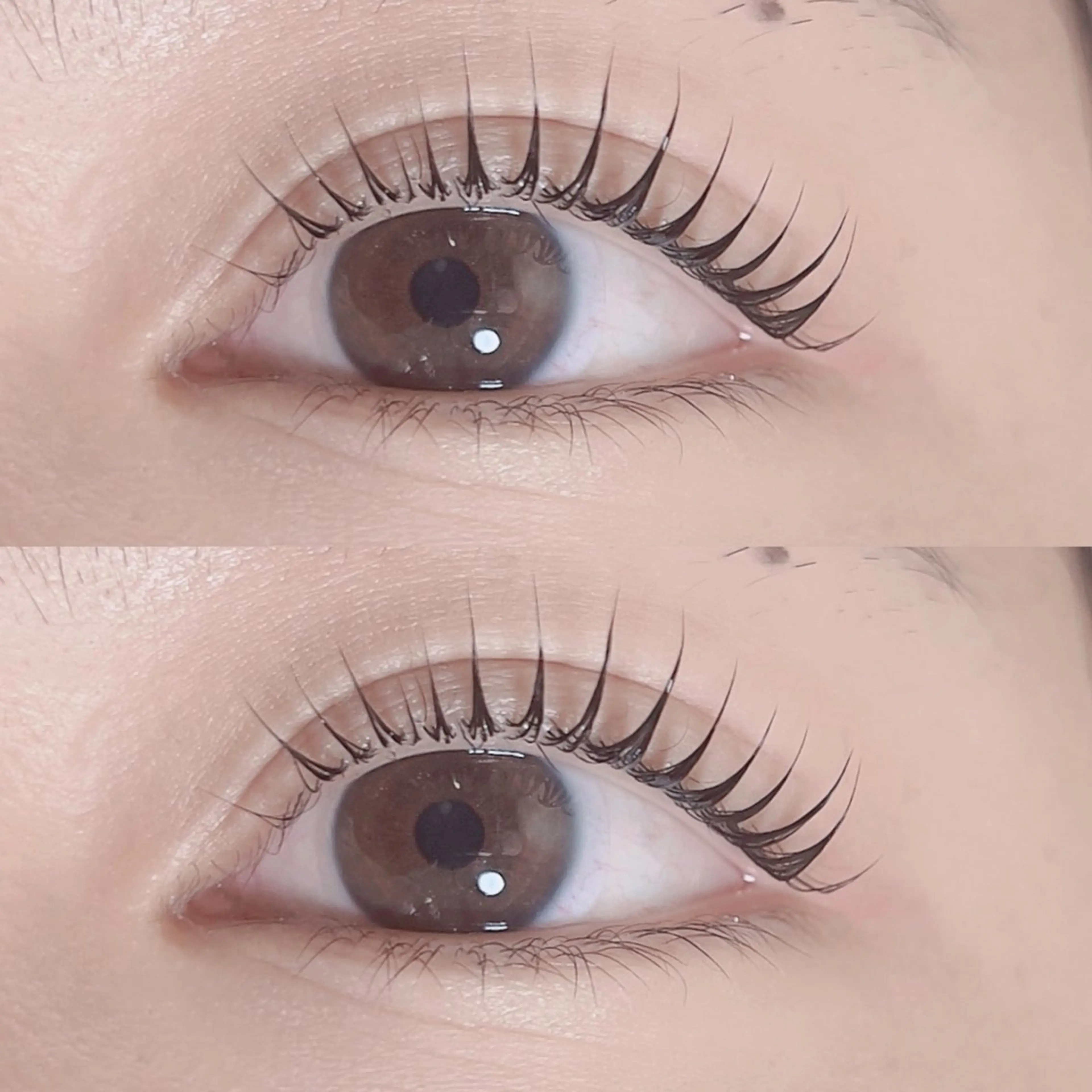 【再来】【コーティング仕上げ付🌷】人気NO.1🫧ダメージレス上ケラチンラッシュリフト(デザインパーマ)の写真