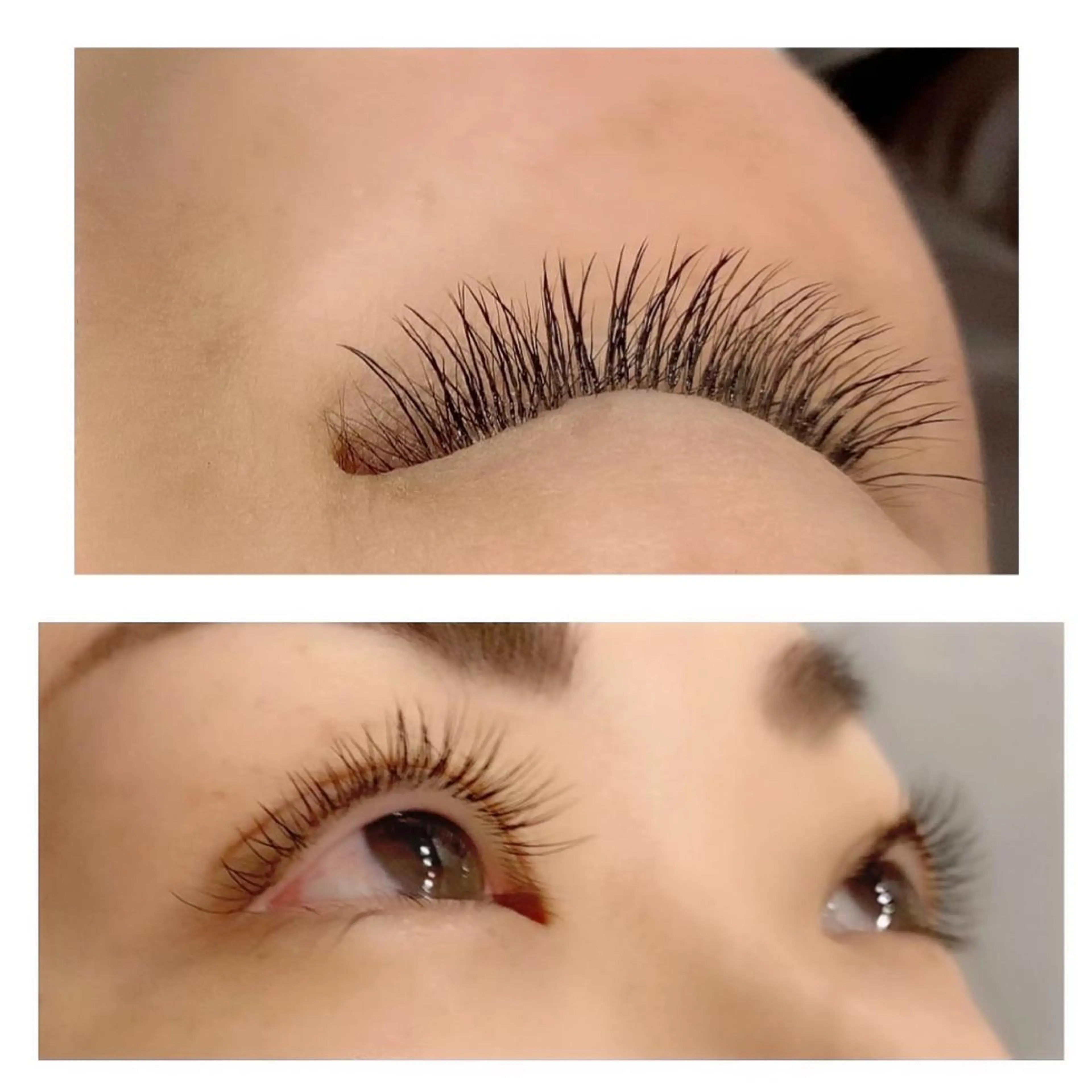 マツエク・マツパ フラットラッシュ マツエク Favori 澤村のマツエク・マツパデザイン