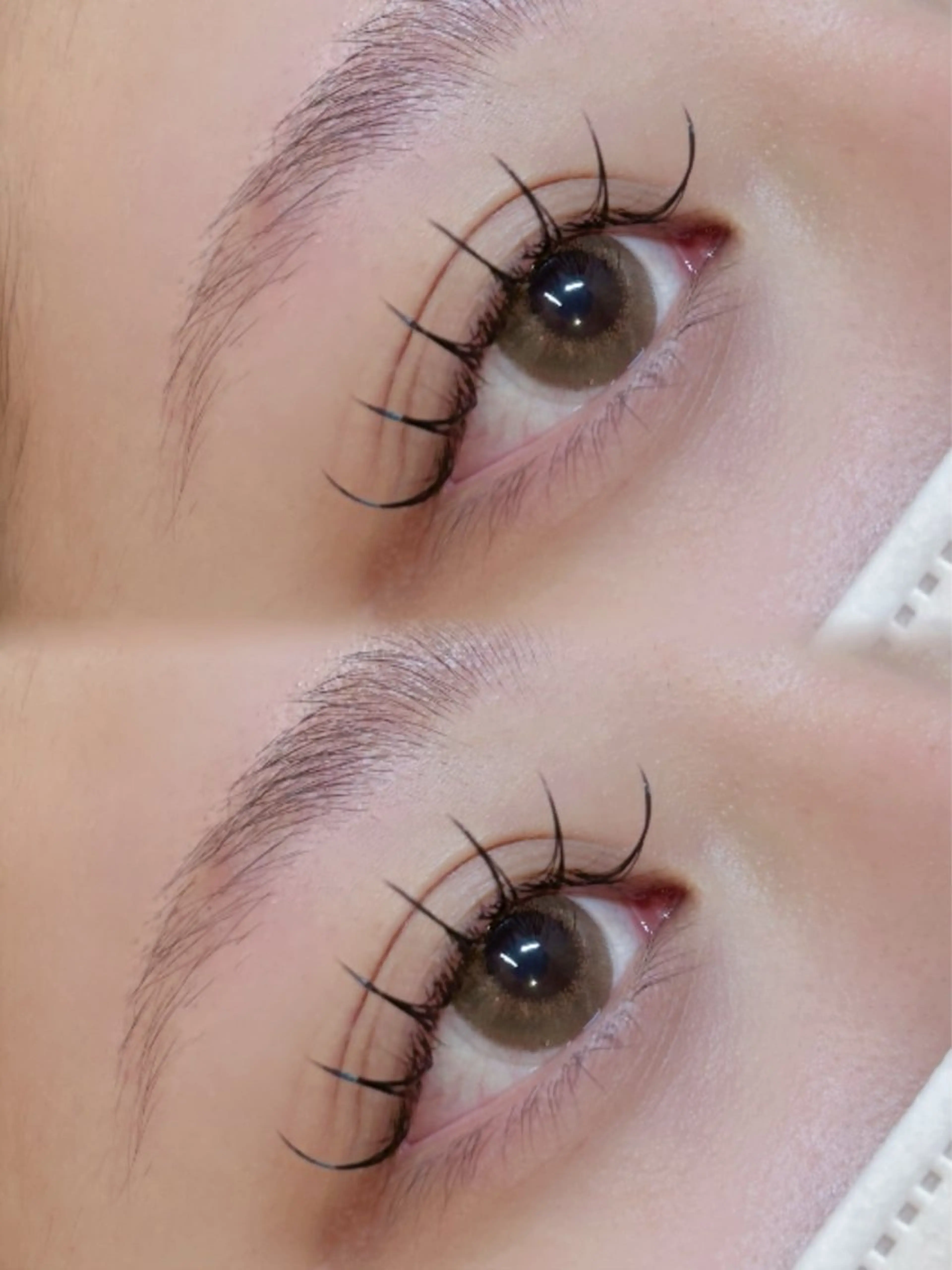 【新規限定】上まつ毛エクステ80本🪽の写真