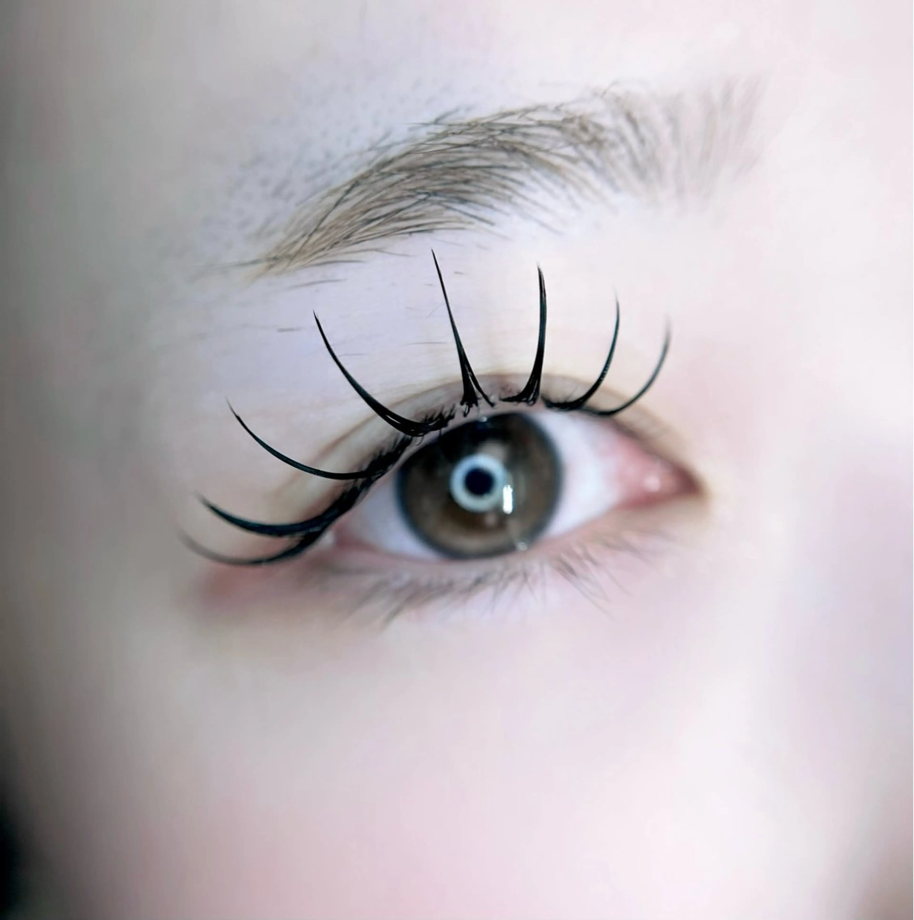 マツエク・マツパ 🎀eyelist. mizuki🐈‍⬛のマツエク・マツパデザイン