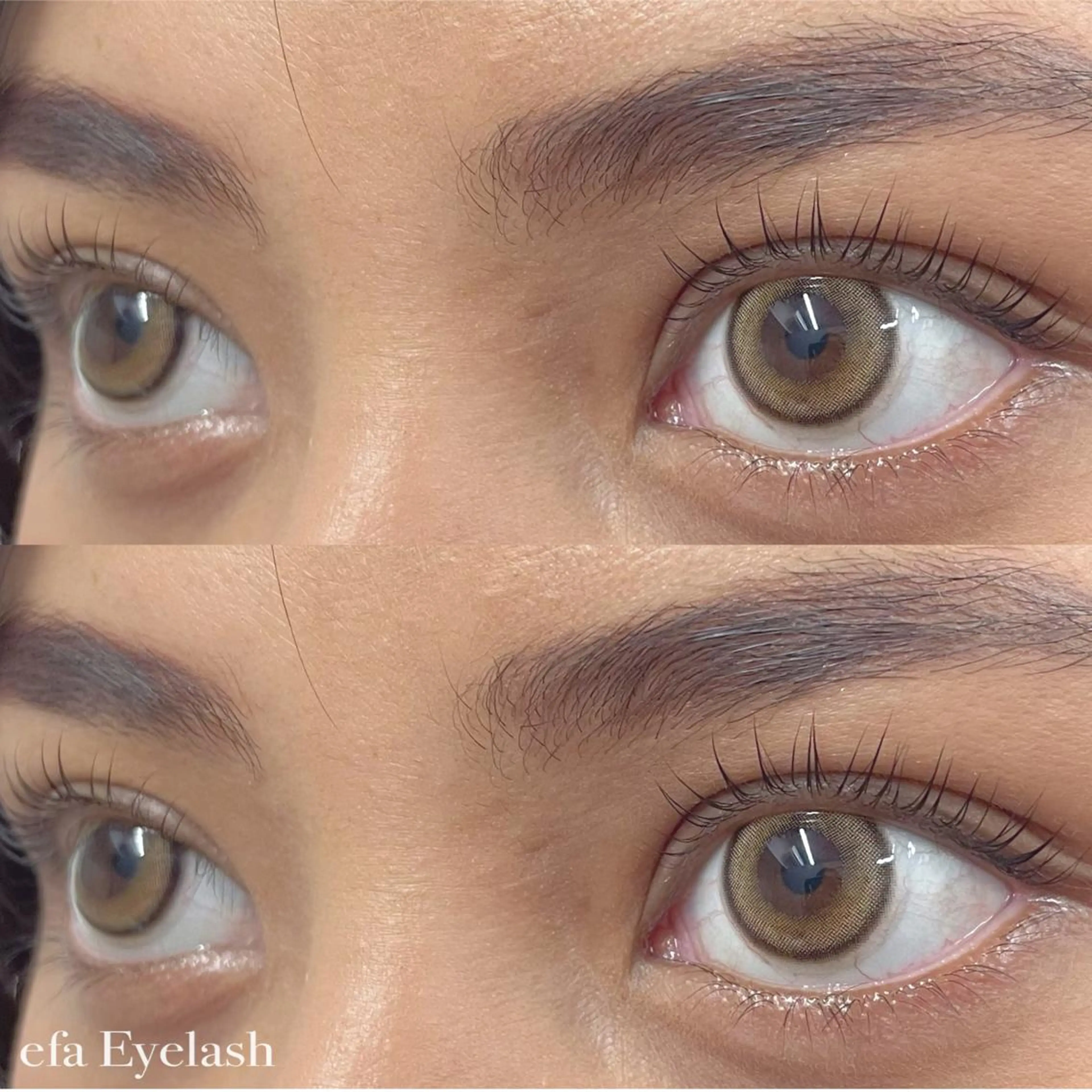 マツエク・マツパ パリジェンヌラッシュリフト GALN 🎀 yumi パリエクのマツエク・マツパデザイン