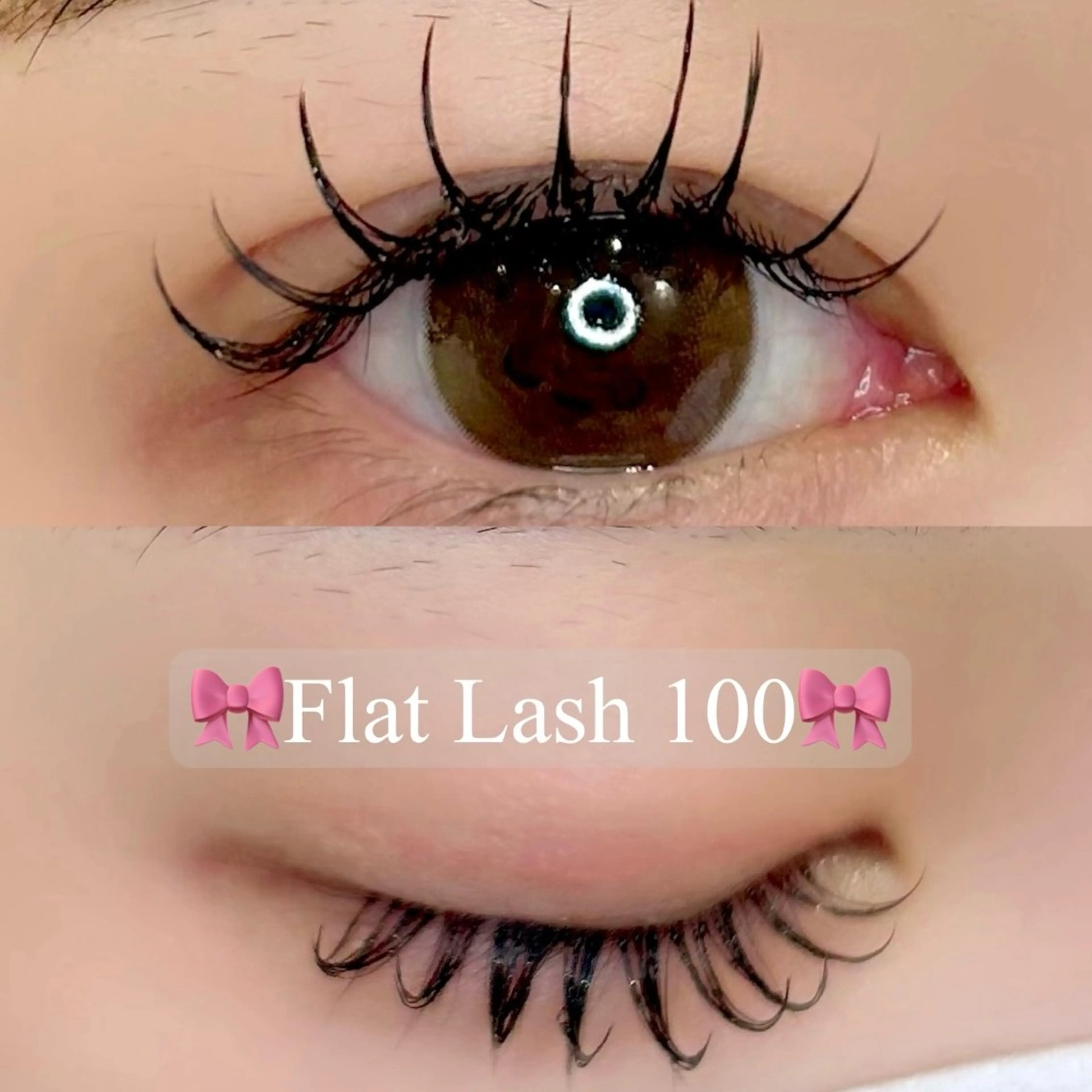 💛当日限定💛《マツエク》フラットラッシュ100本(サロン専用コーティング付)|本数下まつげ増加◎LED変更可◎の写真