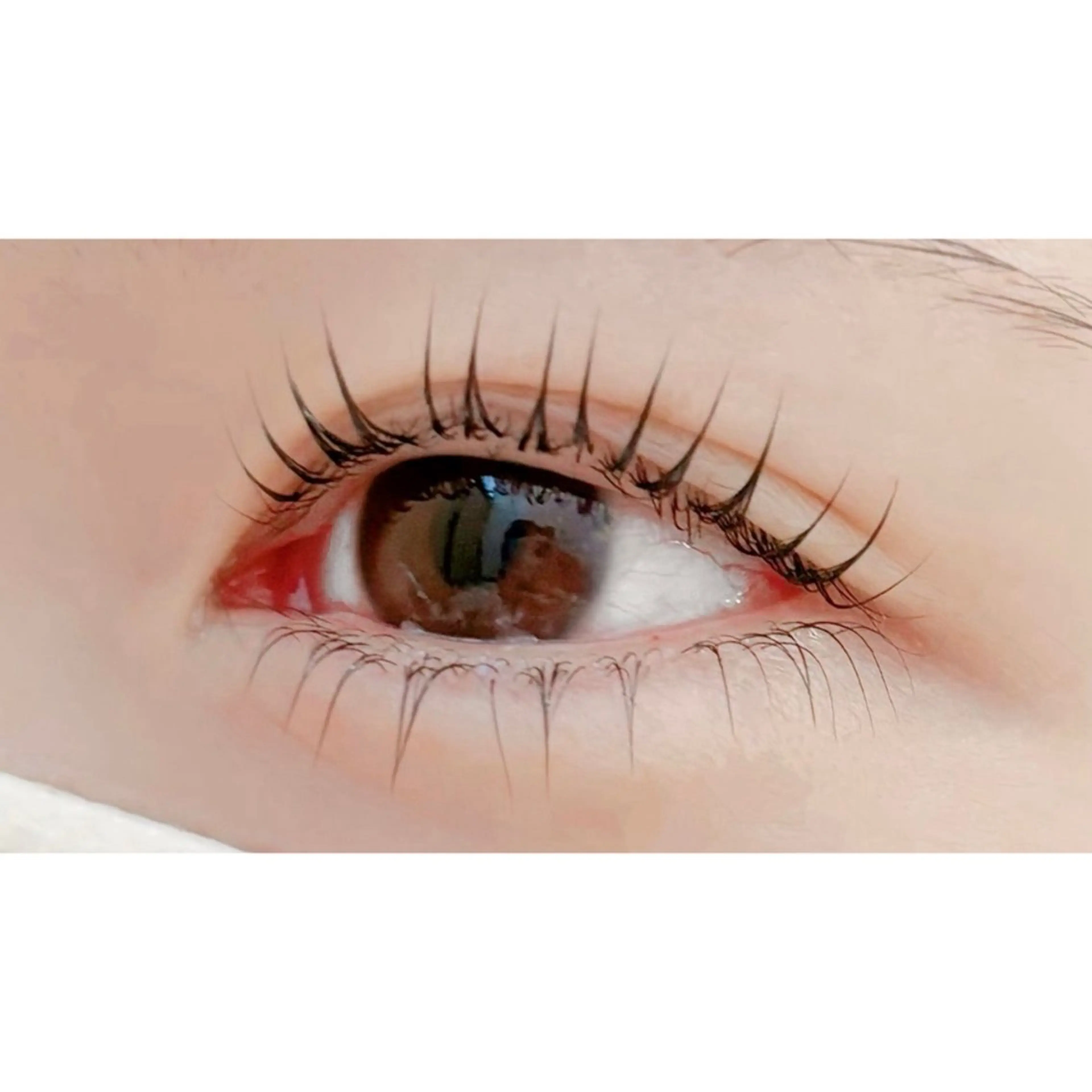 マツエク・マツパ マツパ アルターエクラ ⟡.🎼 mikiのマツエク・マツパデザイン