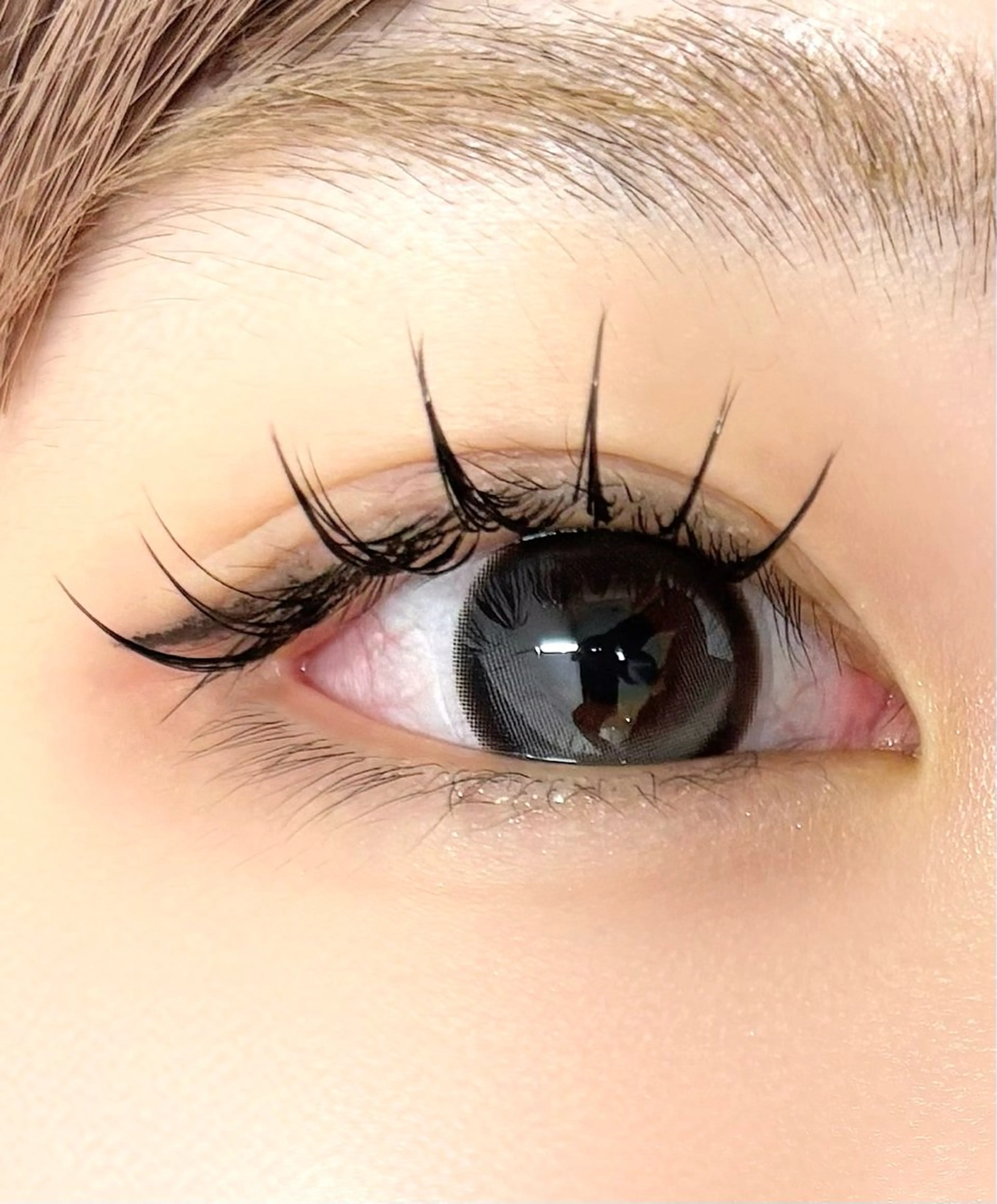 マツエク・マツパ フラットラッシュ Ayumi.dre 🐹H〈2階〉のマツエク・マツパデザイン