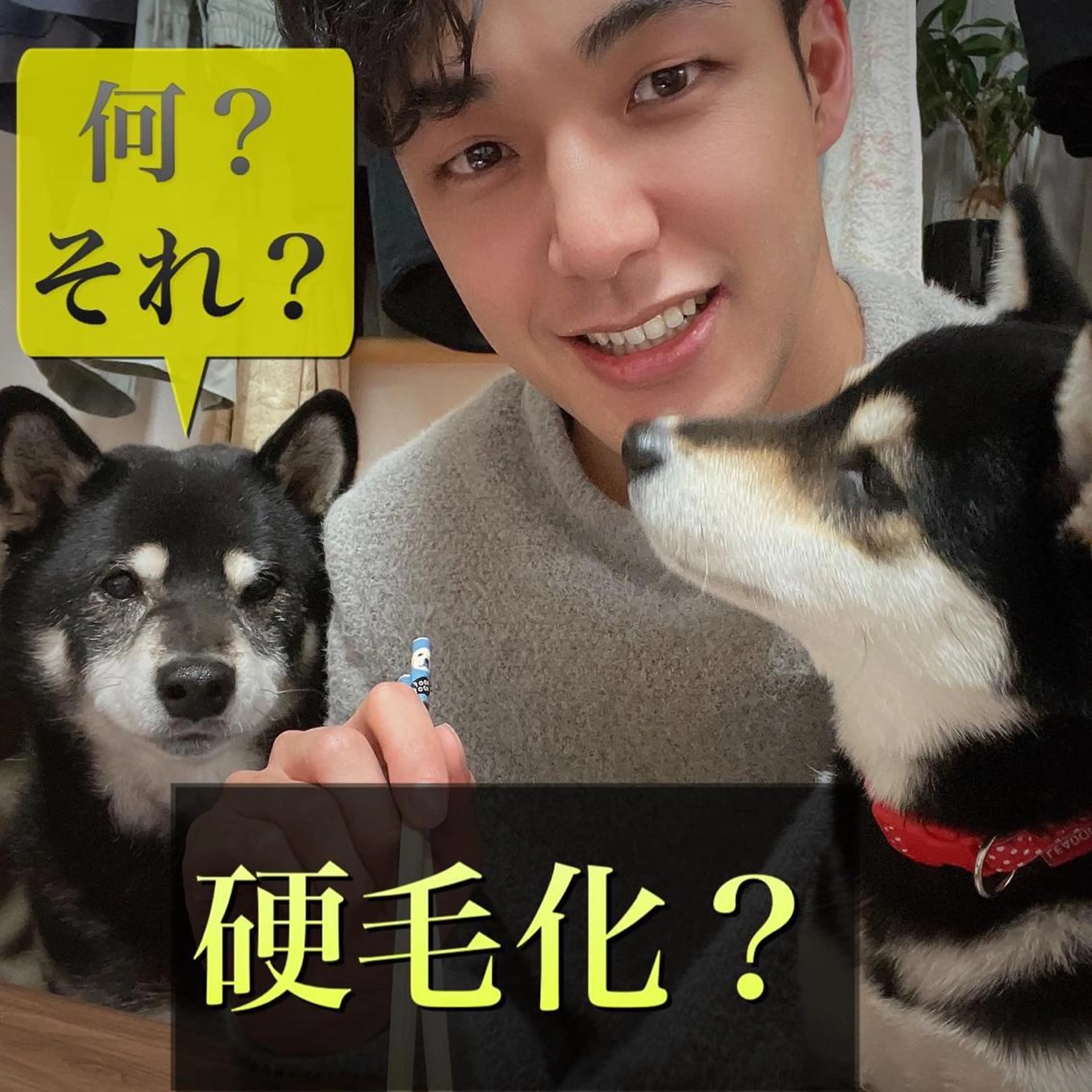 ショート カラー パーマ ヘアアレンジ メンズ キッズ ネイル アイブロウ メンズアイブロウ 眉毛ワックス脱毛 メンズネイル 脱毛サロン KAvanceのエステ・リラクイメージ