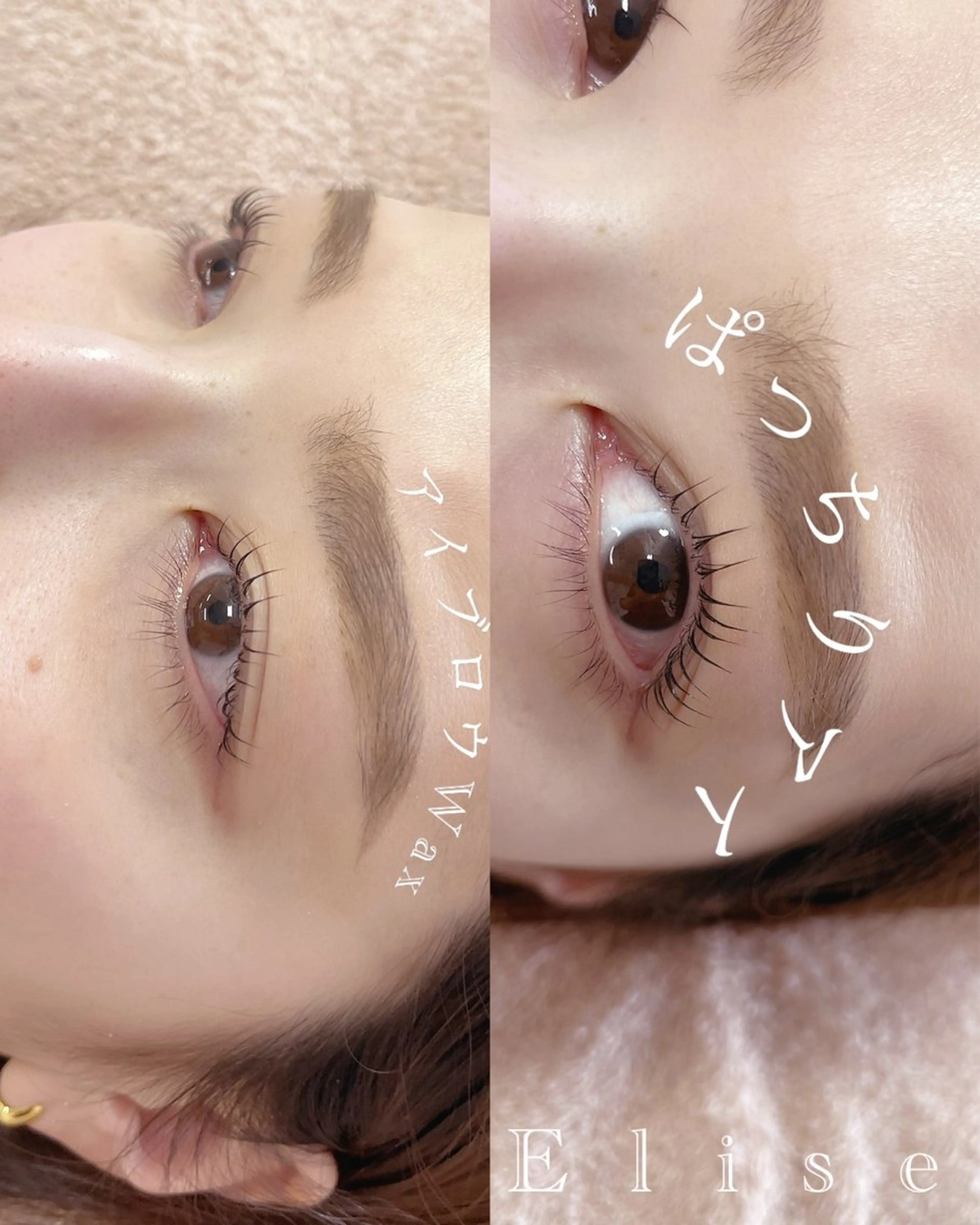 マツエク・マツパ まつげパーマ マツパ Elise 【エリーゼ】のマツエク・マツパデザイン