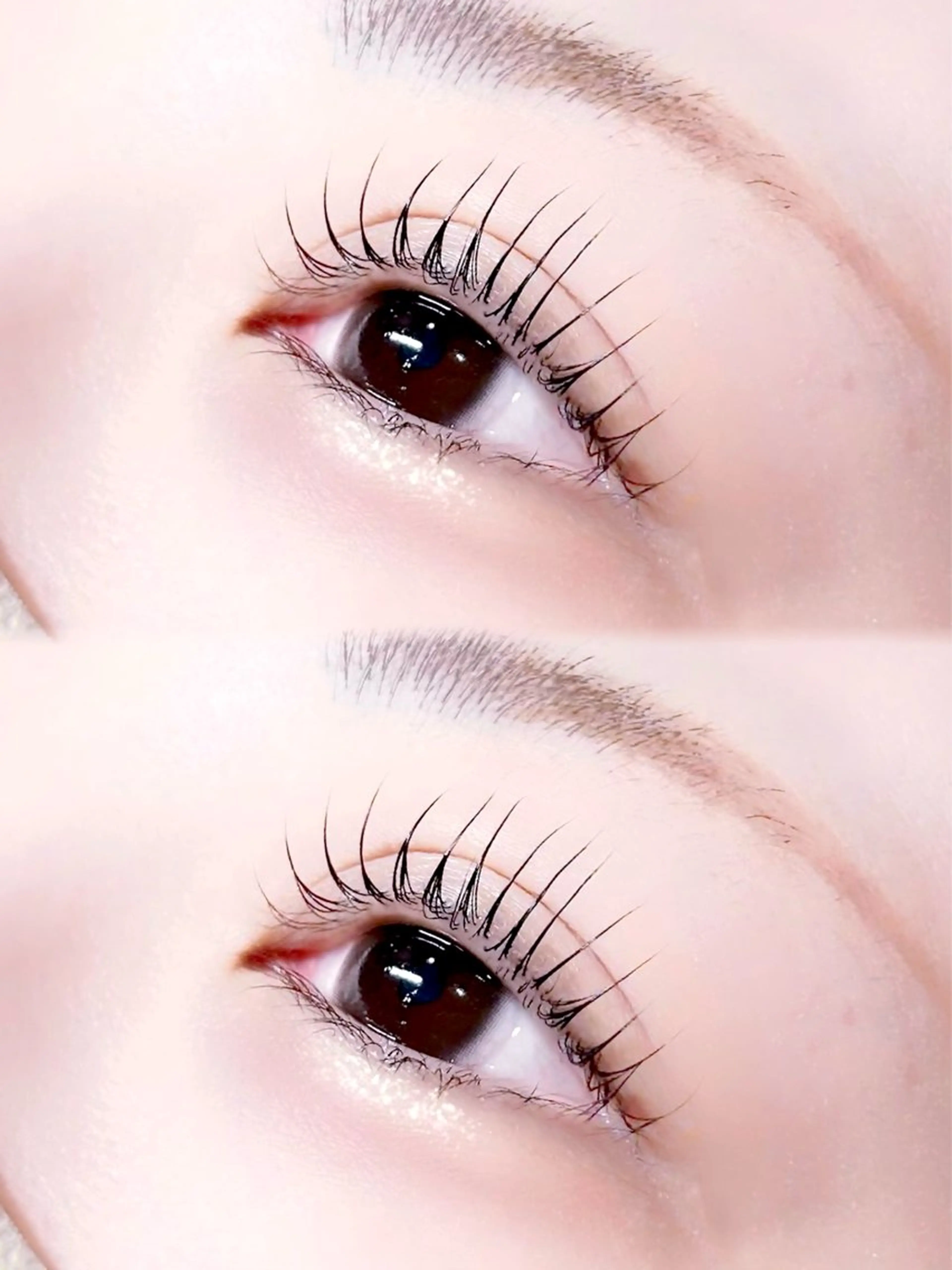 🩷パリジェンヌラッシュリフト🩷【トリートメント付き🪄︎︎✨】の写真