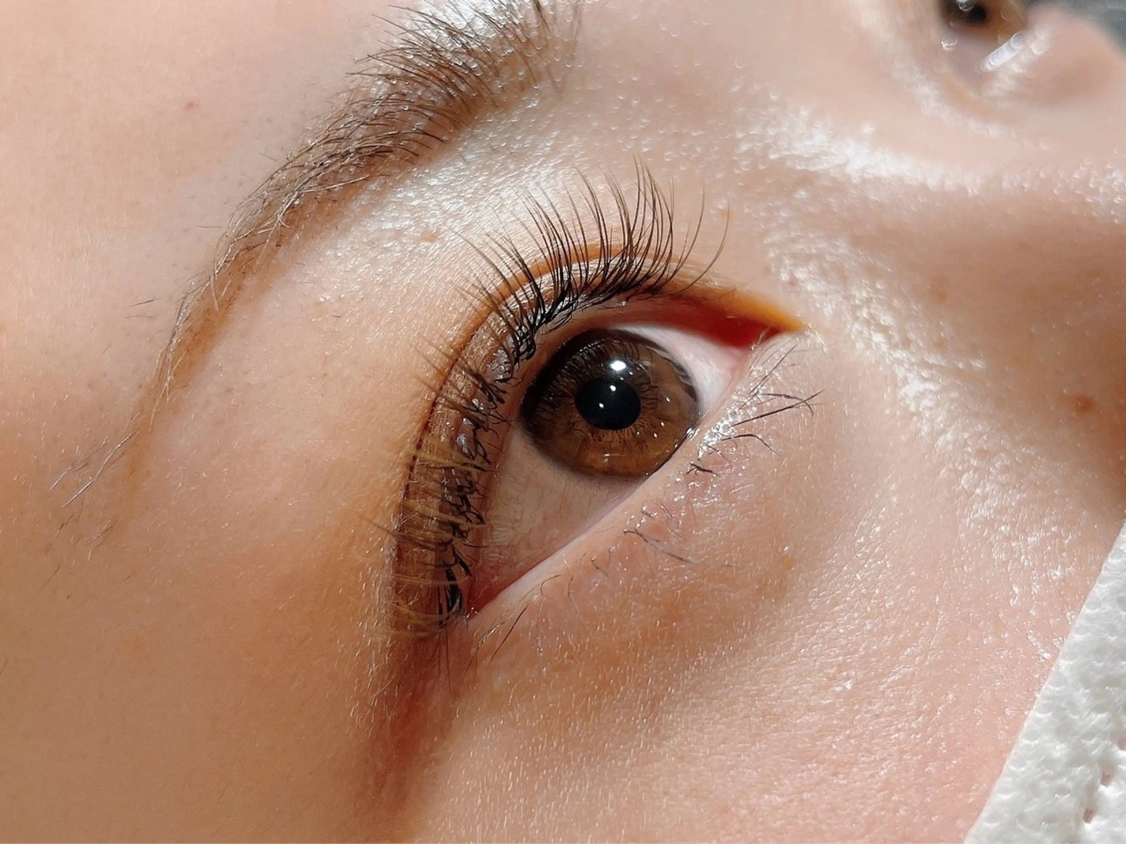 マツエク・マツパ カラーマツエク フラットラッシュ マツエク rune.🌼 kinoshitaのマツエク・マツパデザイン