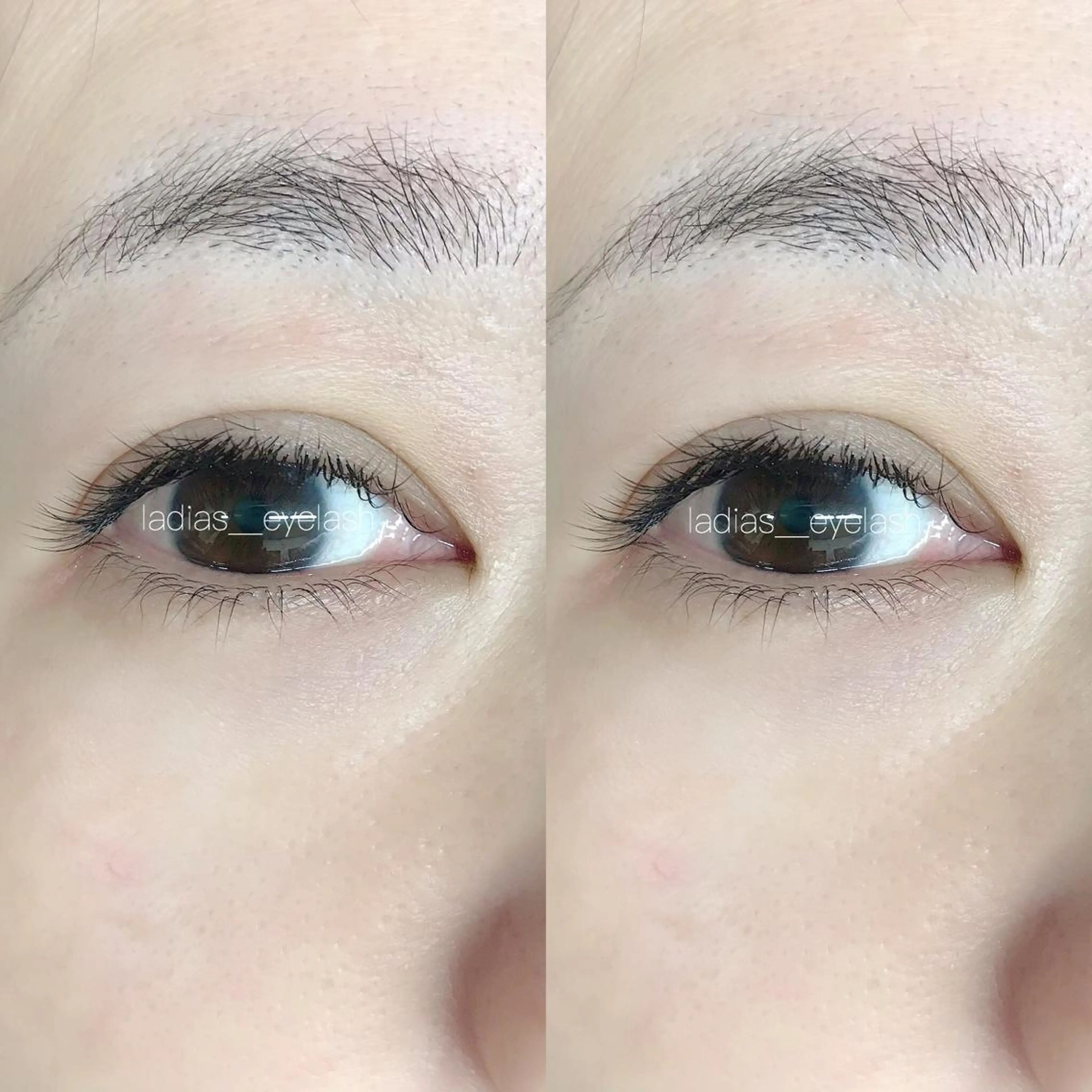 【他店オフ無料】 single lash 100の写真