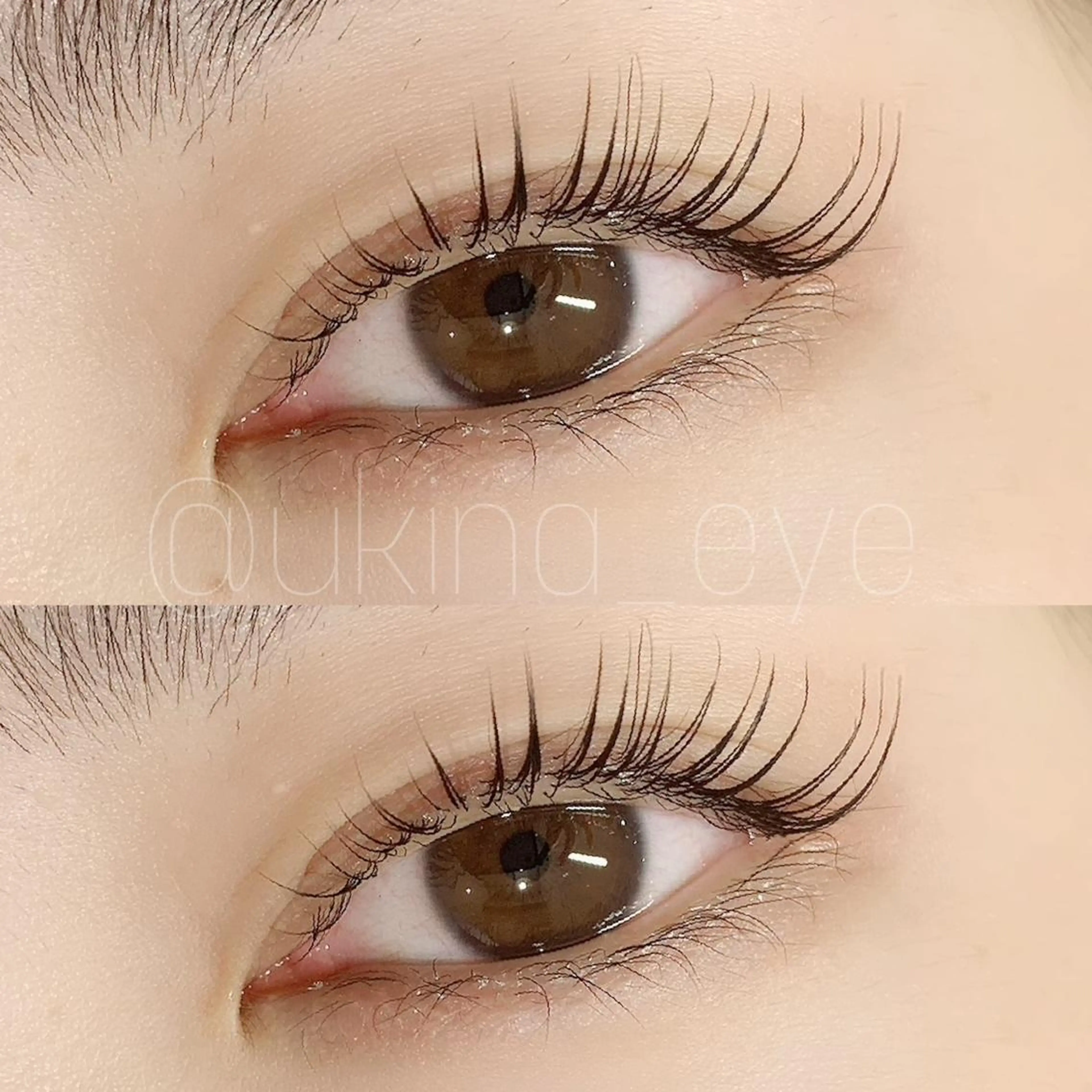 【再来限定】パリエク40本以下の写真